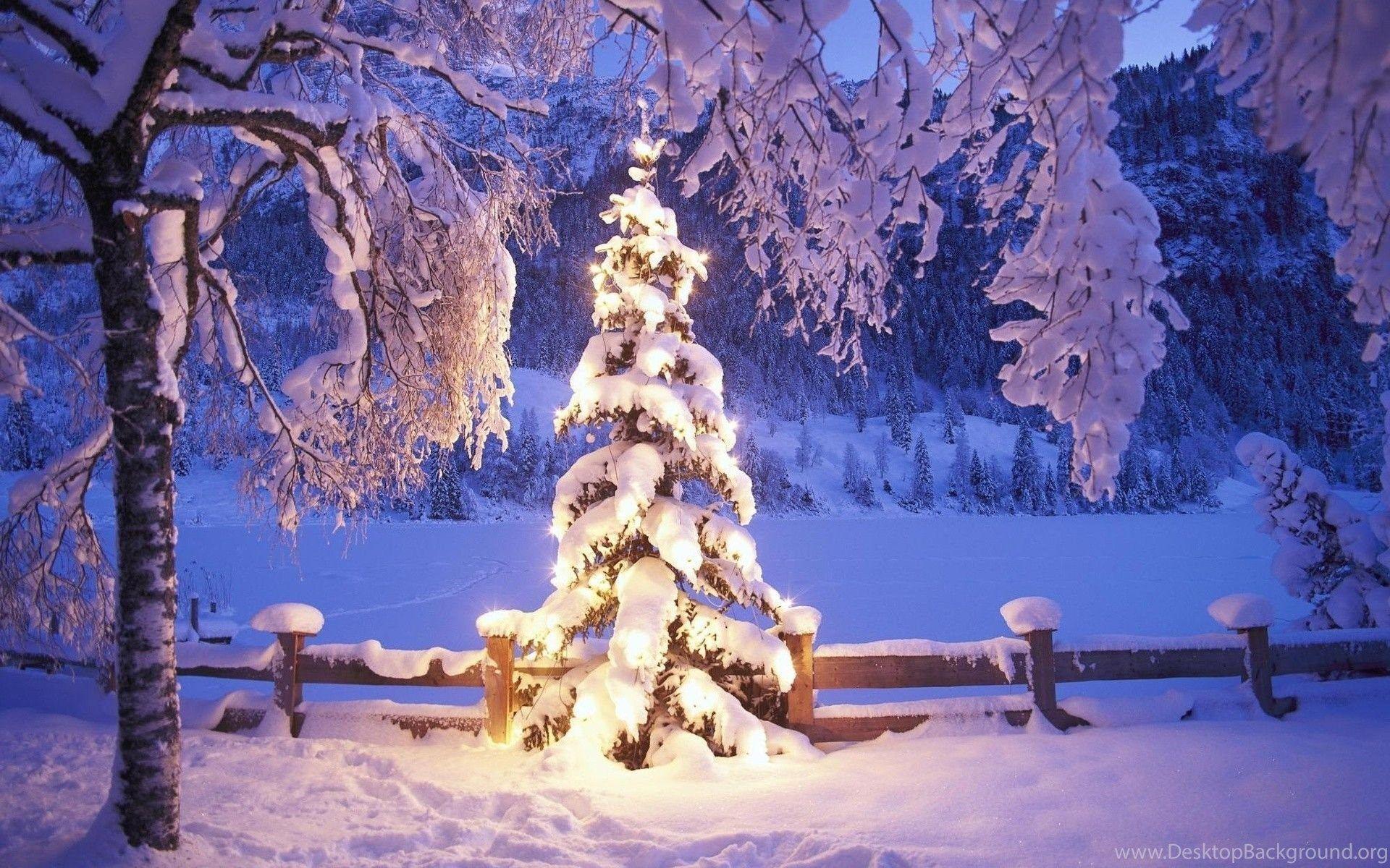 1920x1200 Christmas Landscape Desktop Wallpaper Beautiful Snow