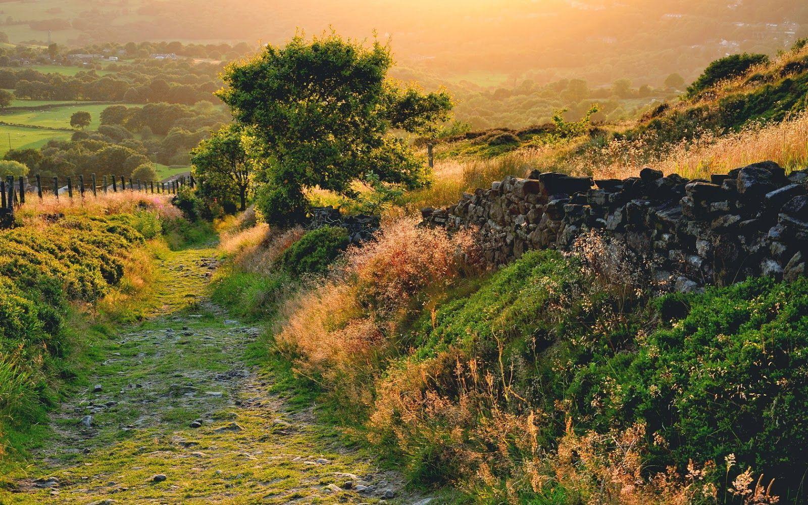 1600x1000 Hermosa naturaleza,. Landscape