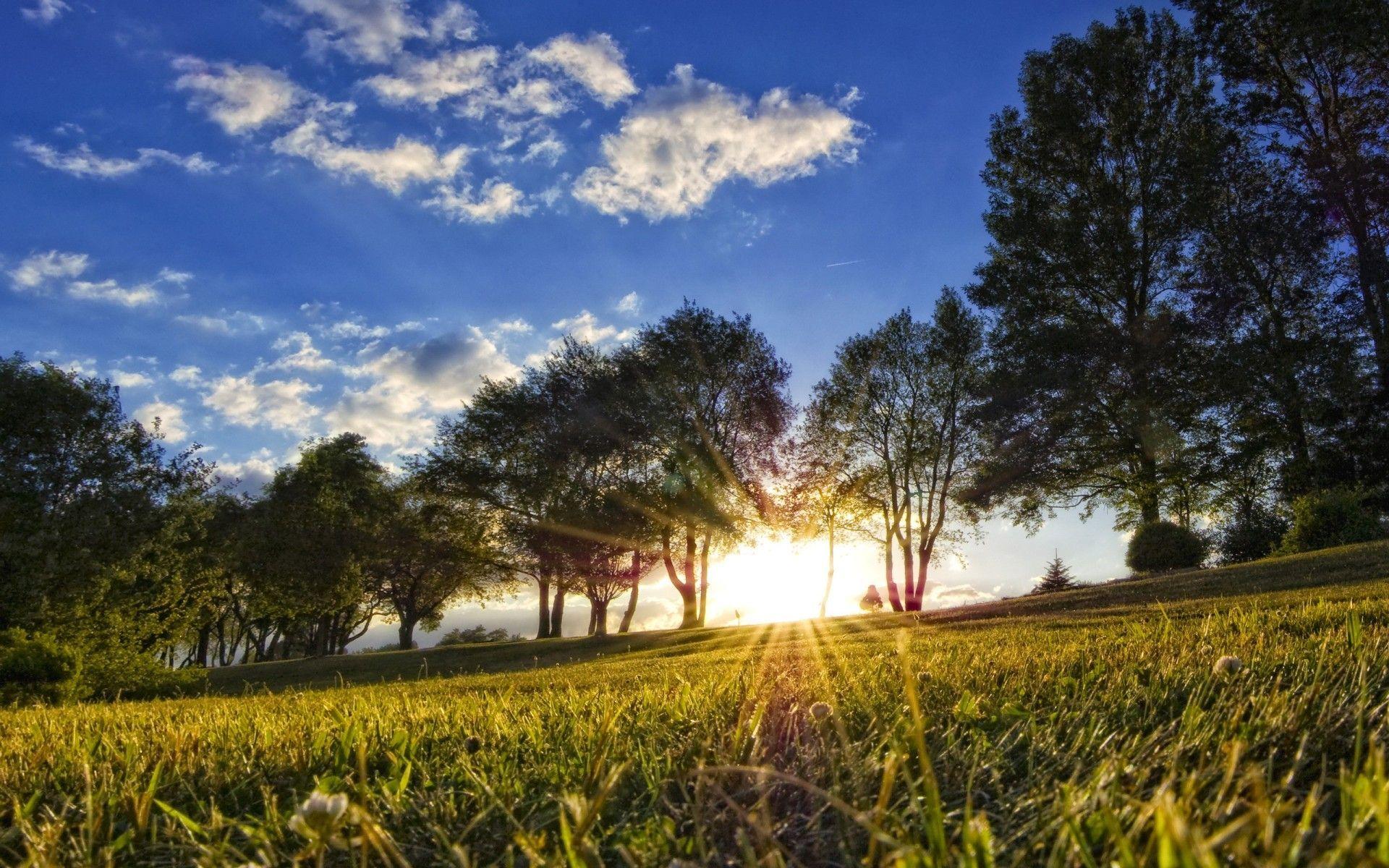 1920x1200 summer is so warm and hot too. Seasons. Summer desktop