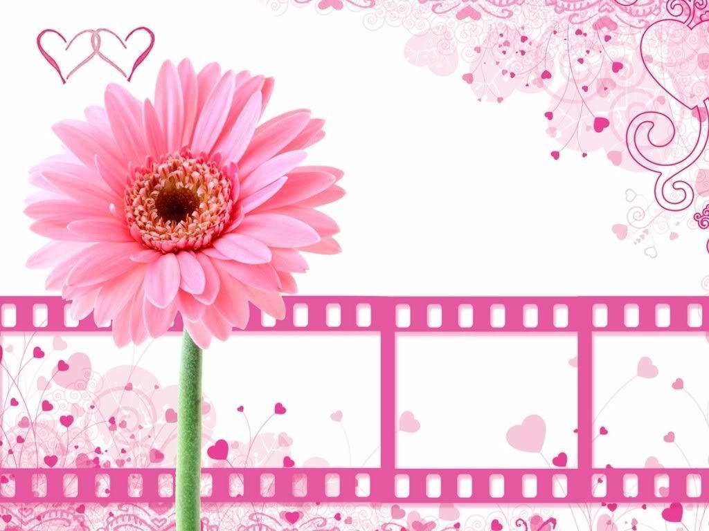 Cute Girly Pink Desktop Wallpapers Top Free Cute Girly Pink