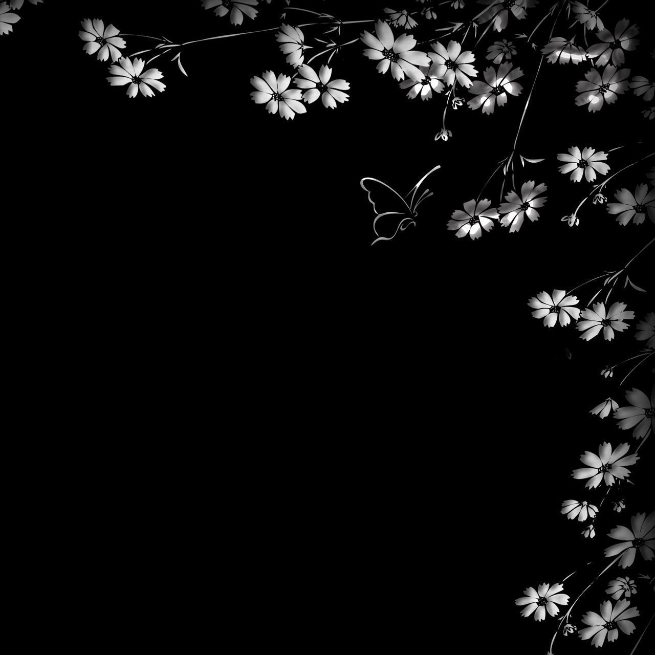 1280x1280 Black Sakura Wallpaper