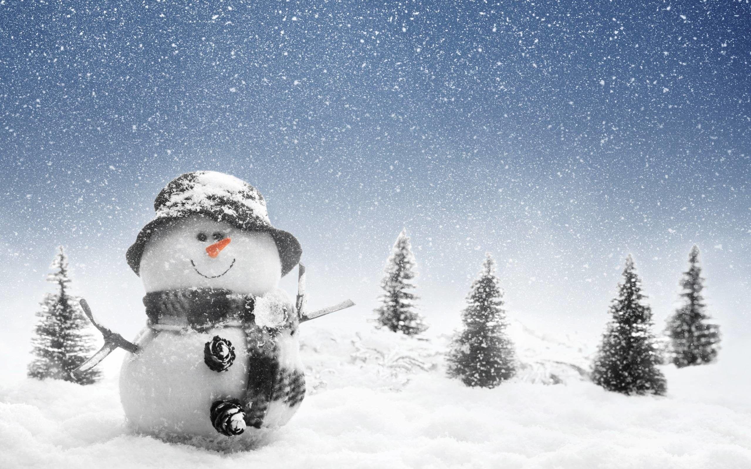 2560x1600 Winter Snowman Wallpaper