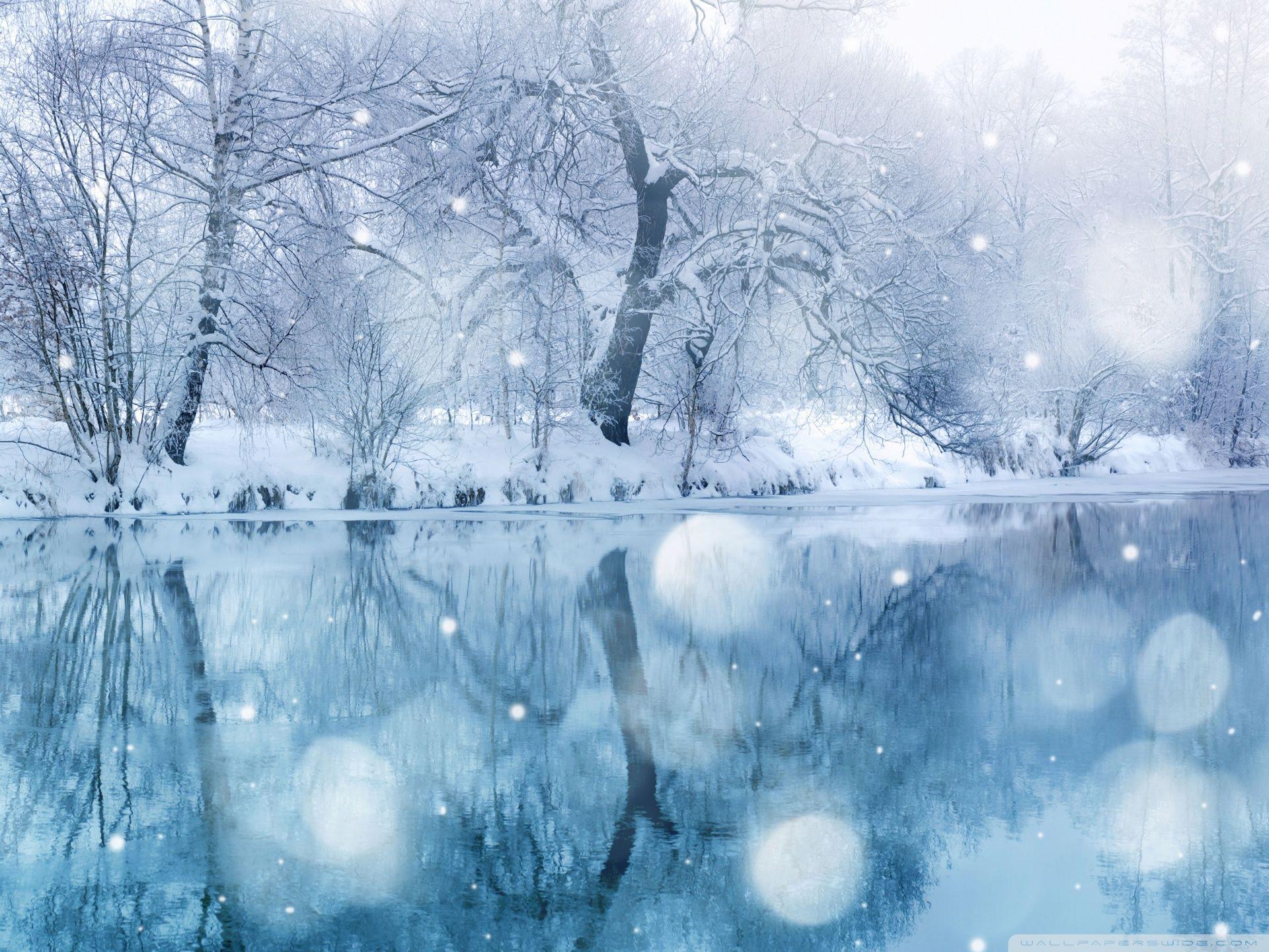 1920x1440 Winter Snowfall ❤ 4K HD Desktop Wallpaper for 4K Ultra HD