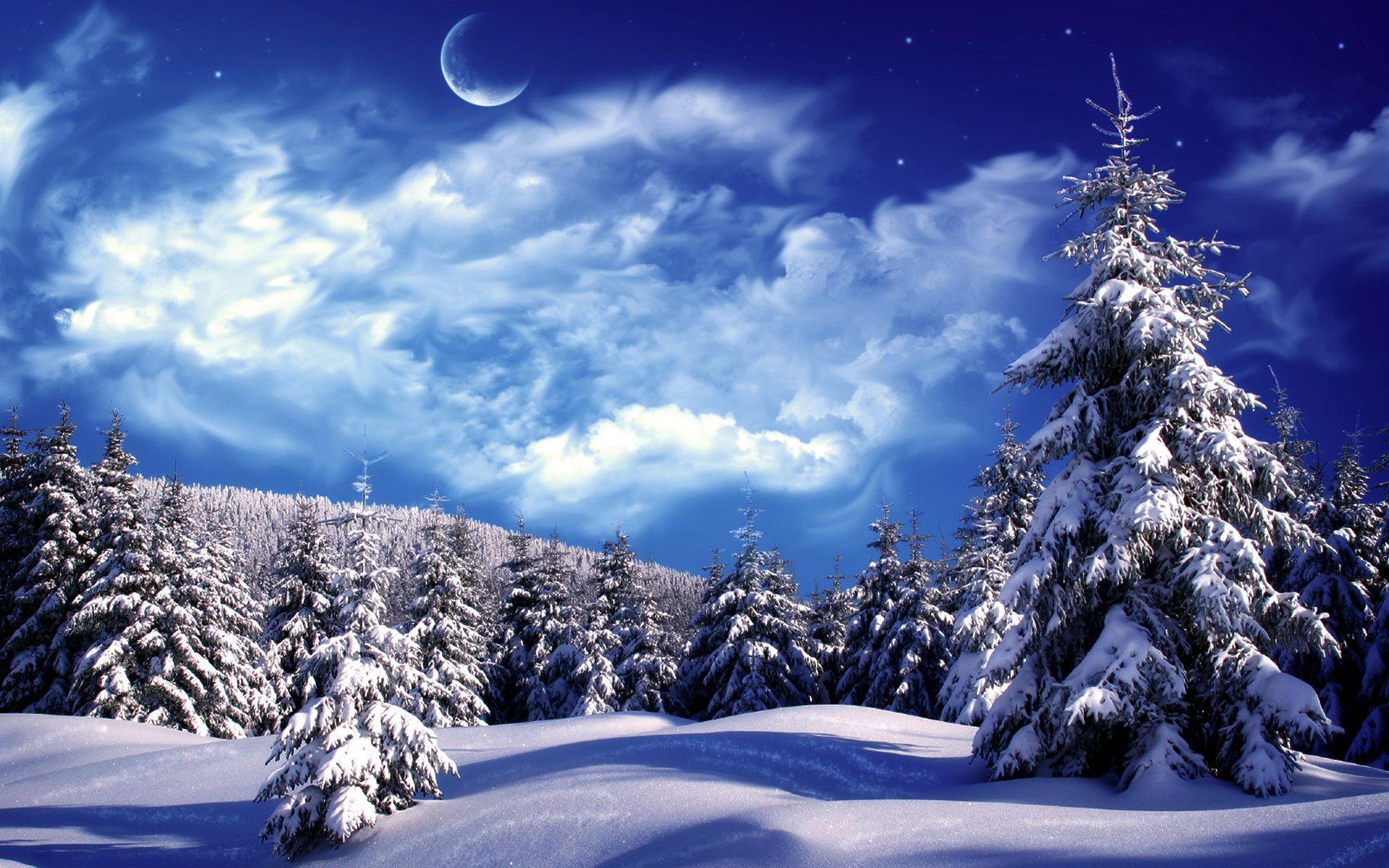 1920x1200 Colorado Winter Wallpaper