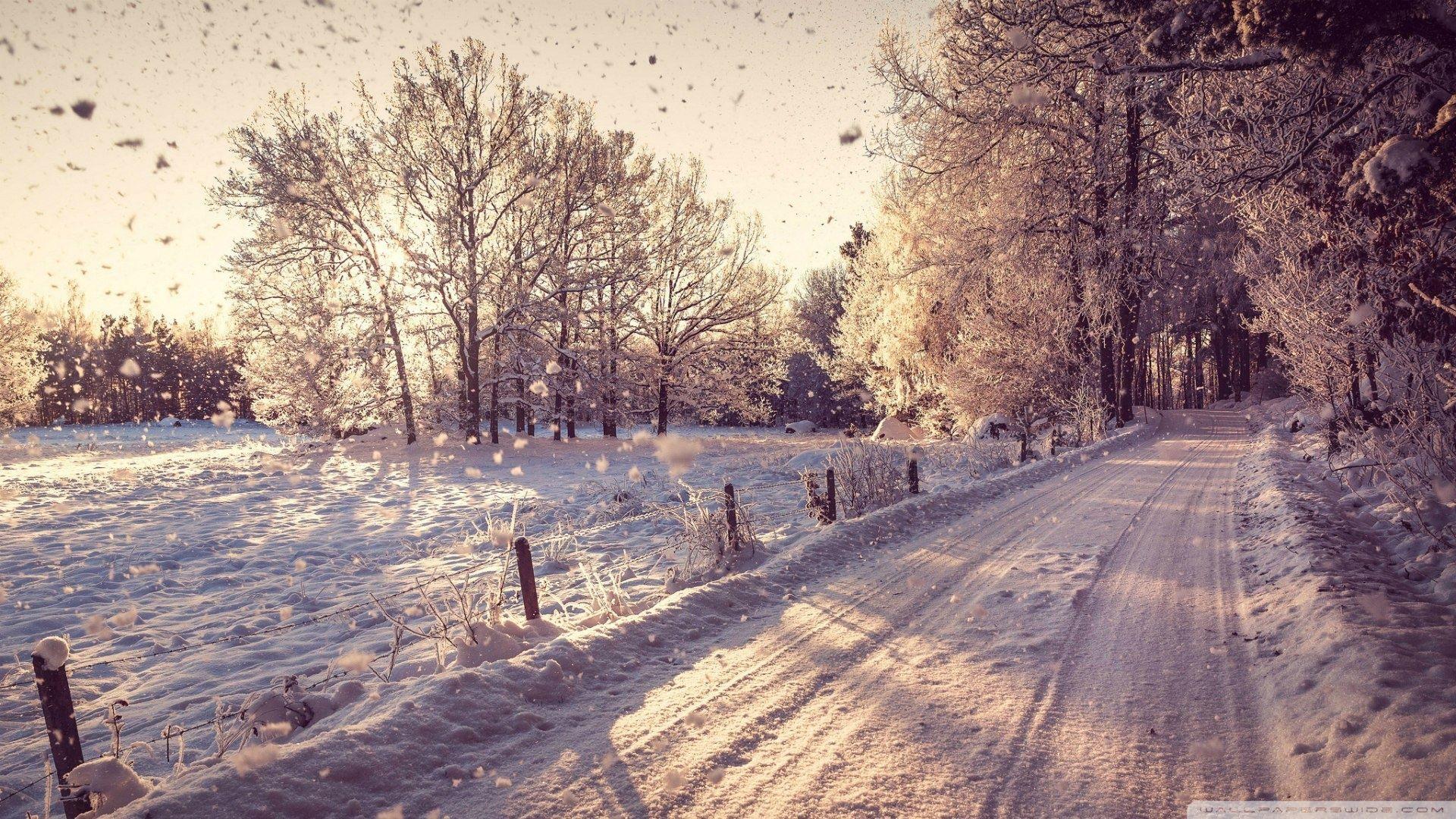 January softness  Winter  Nature Background Wallpapers on Desktop Nexus  Image 2068799