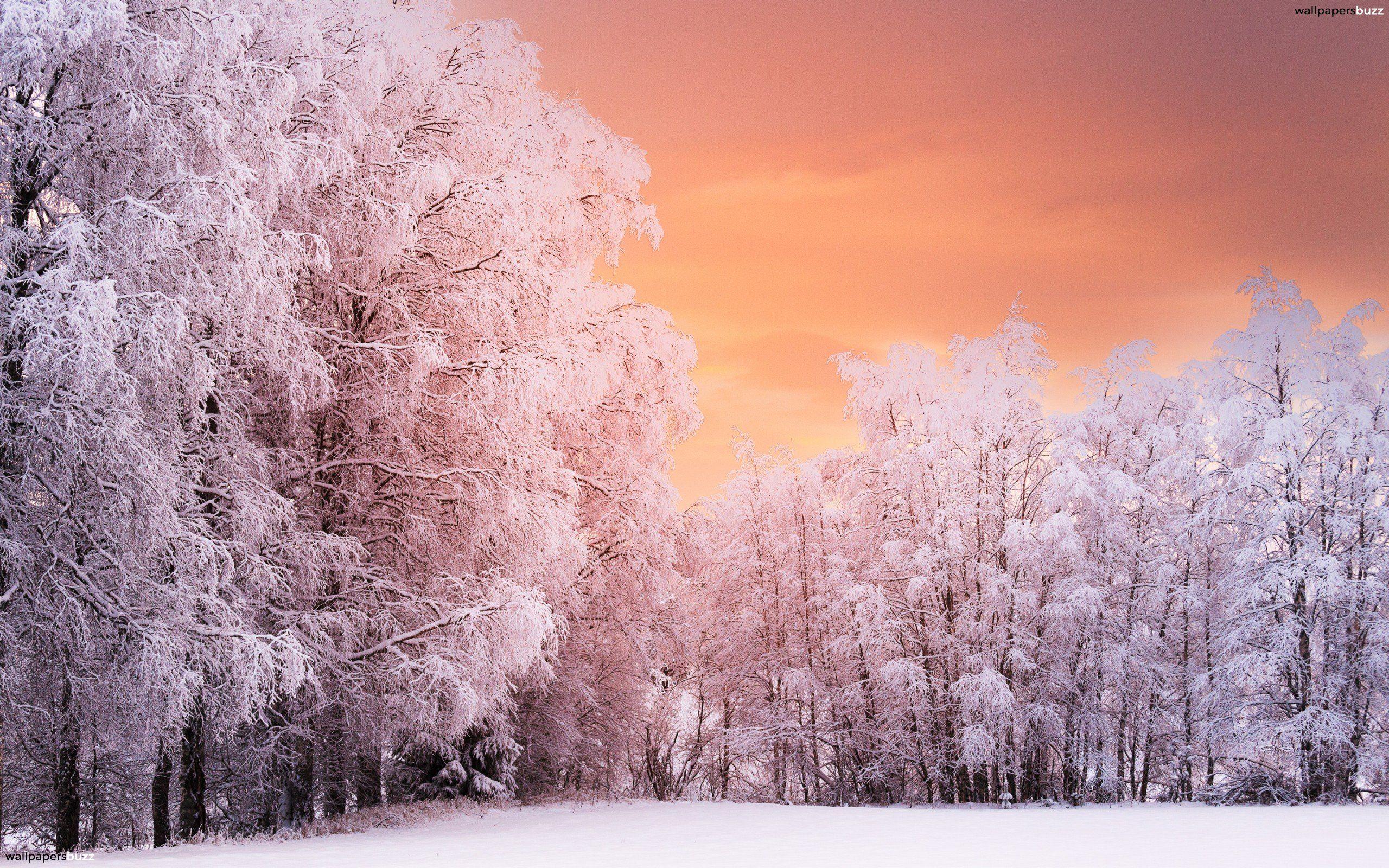 Winter Sunset Desktop Wallpapers - Top Free Winter Sunset Desktop Backgrounds - WallpaperAccess