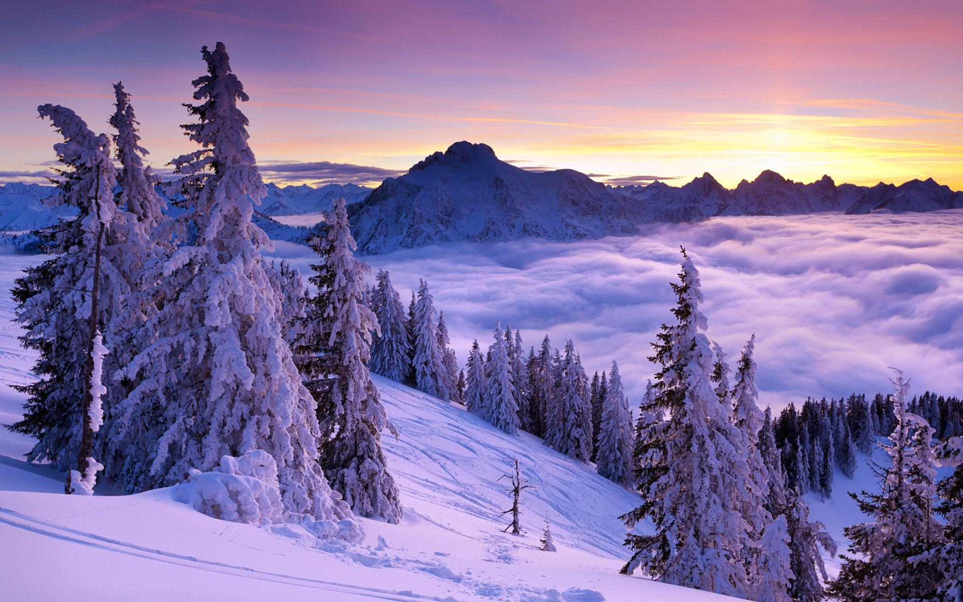 1920x1200 Late Winter Sunset #Wallpaper