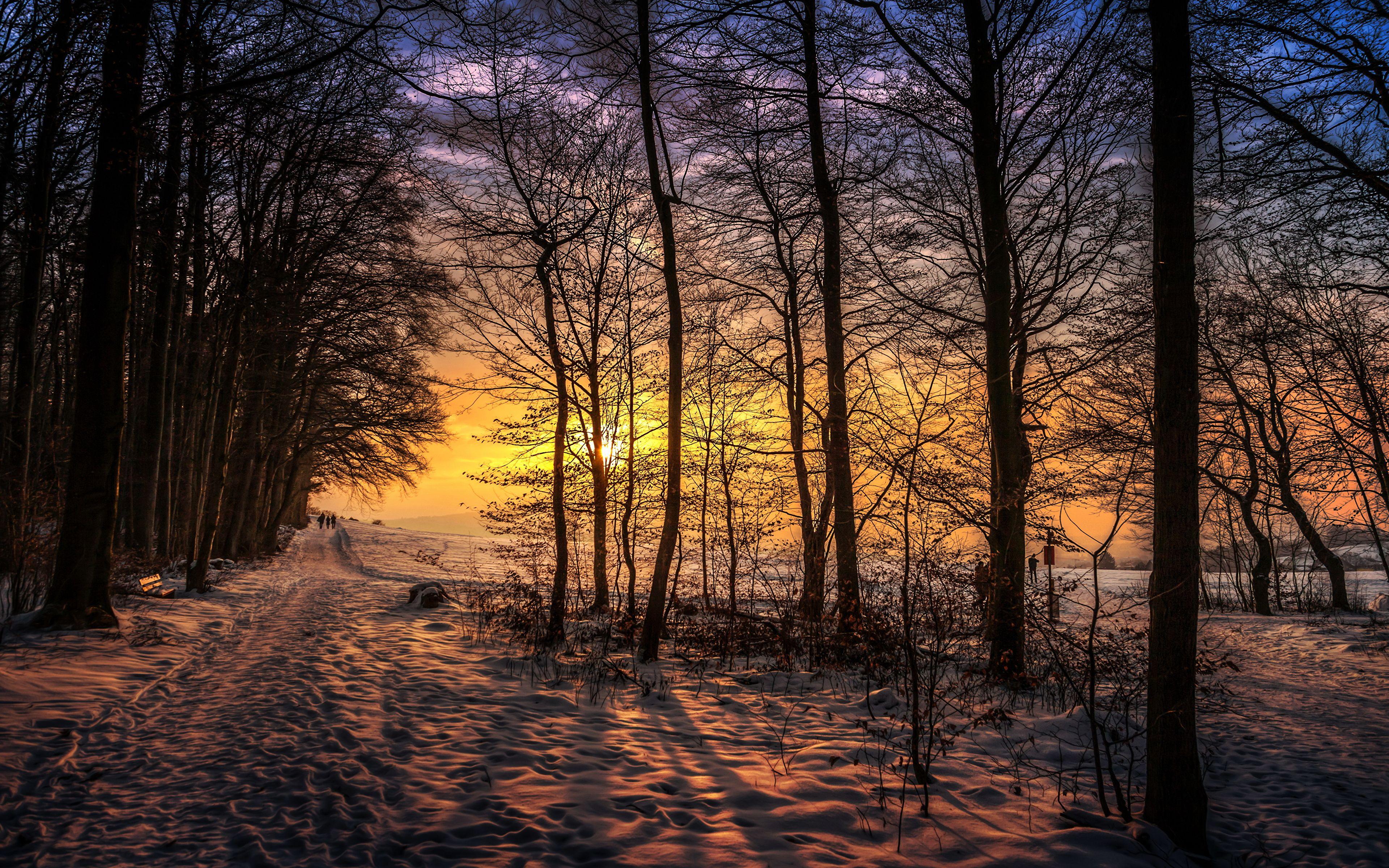 3840x2400 Desktop Wallpaper Trail Nature Winter Snow Sunrises