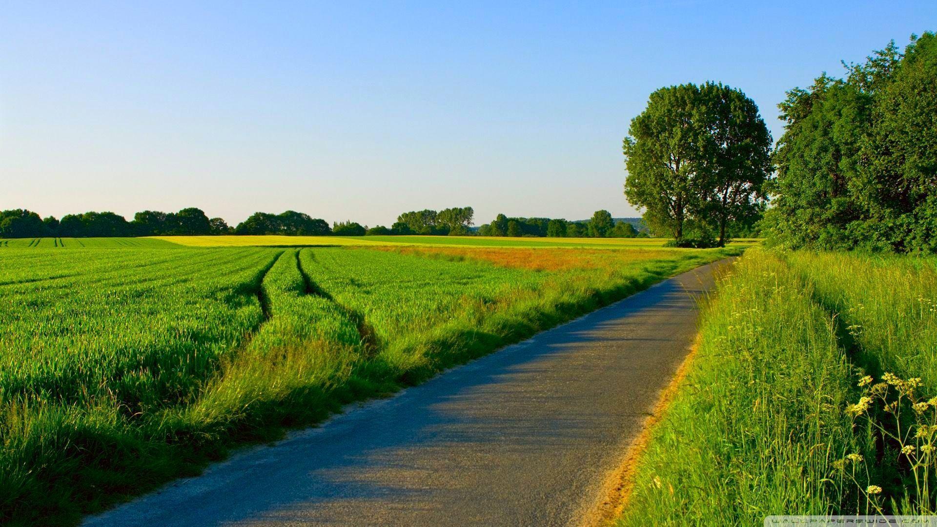 1920x1080 Landscape Nature HD Desktop Wallpaper at