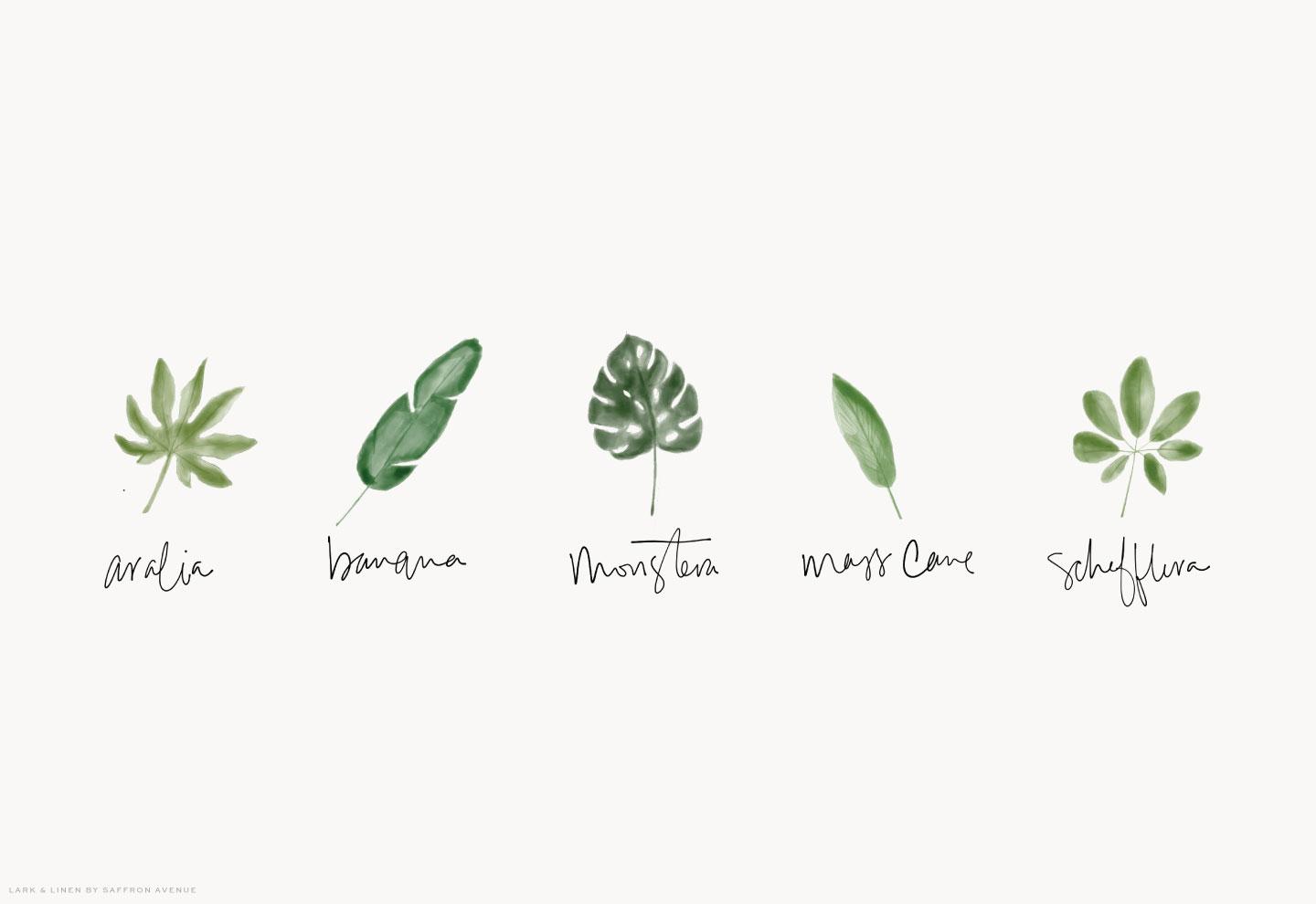1440x990 Tropical Desktop Background. lark & linen