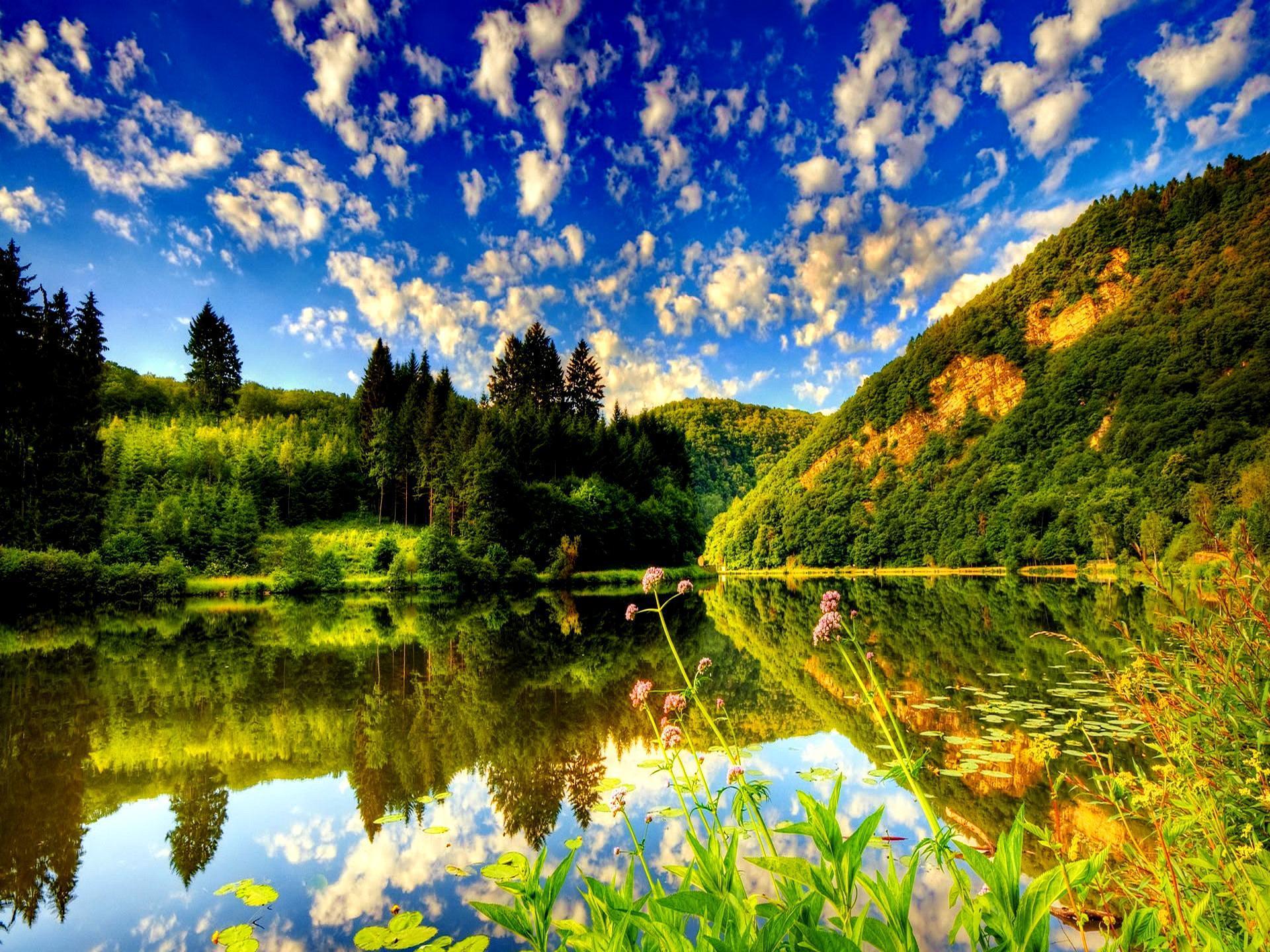 1920x1440 Summer Nature HD desktop wallpaper : Widescreen : High