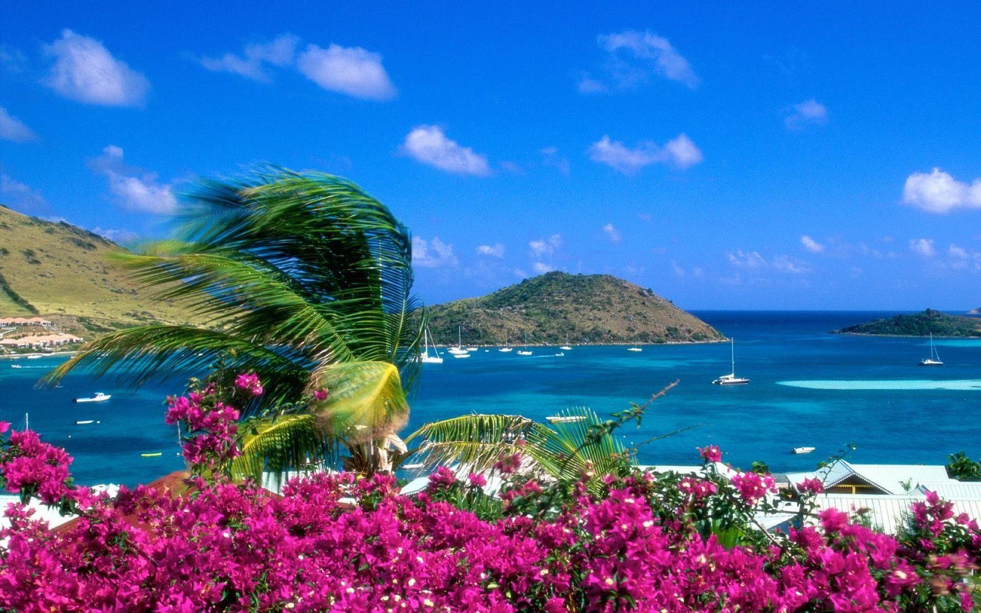 1920x1200 Desktop background beachDownload free beautiful