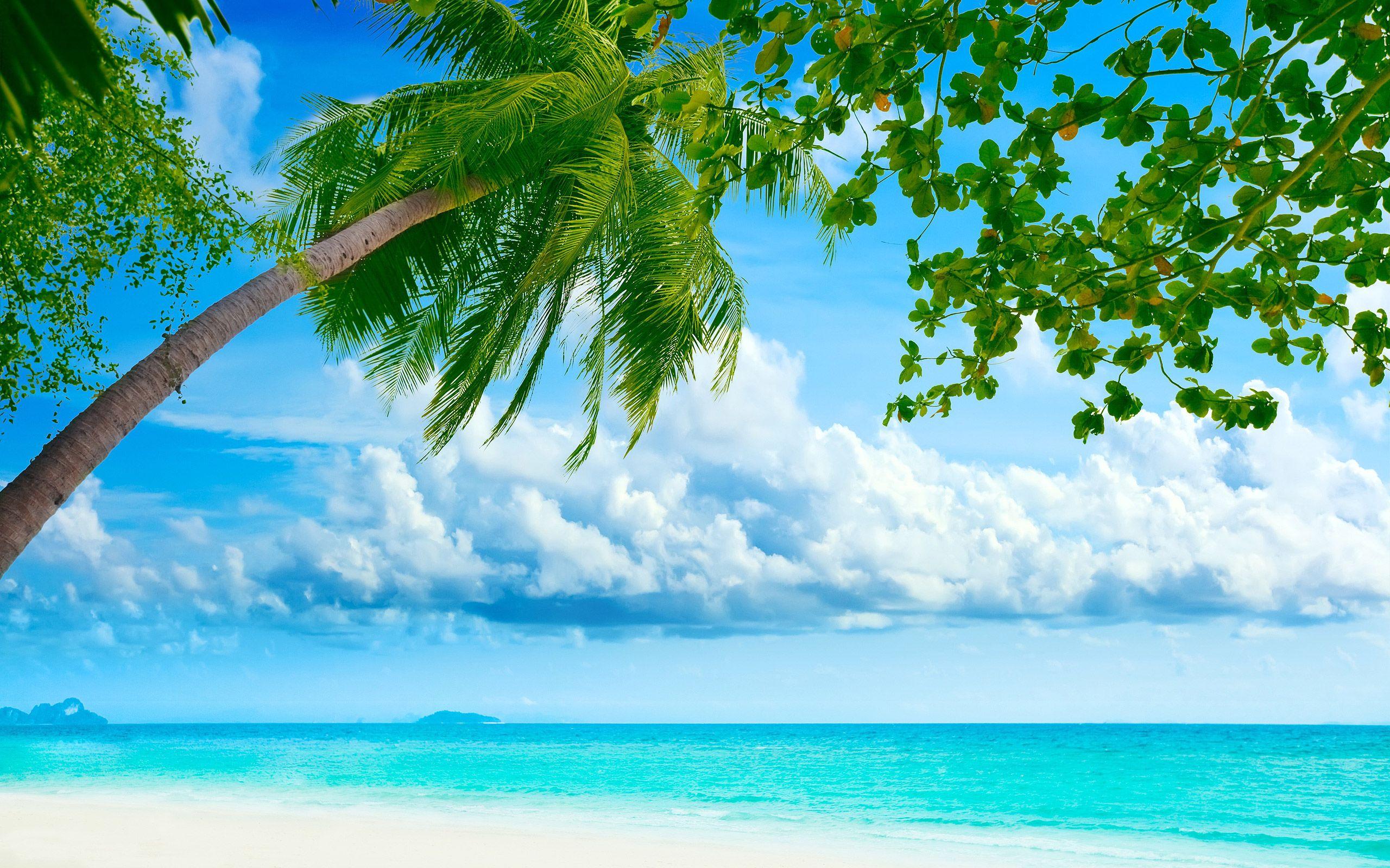 2560x1600 Summer Beach Desktop Wallpaper