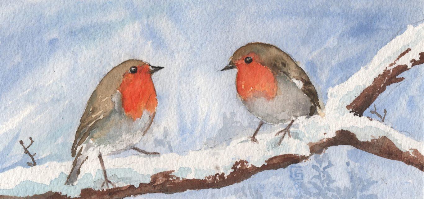 1366x641 Winter Birds Wallpaper HD Free Download
