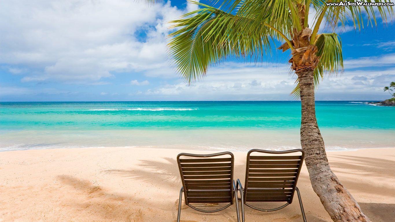 1366x768 Florida Summer Beach Desktop Wallpaper 2018_Funny