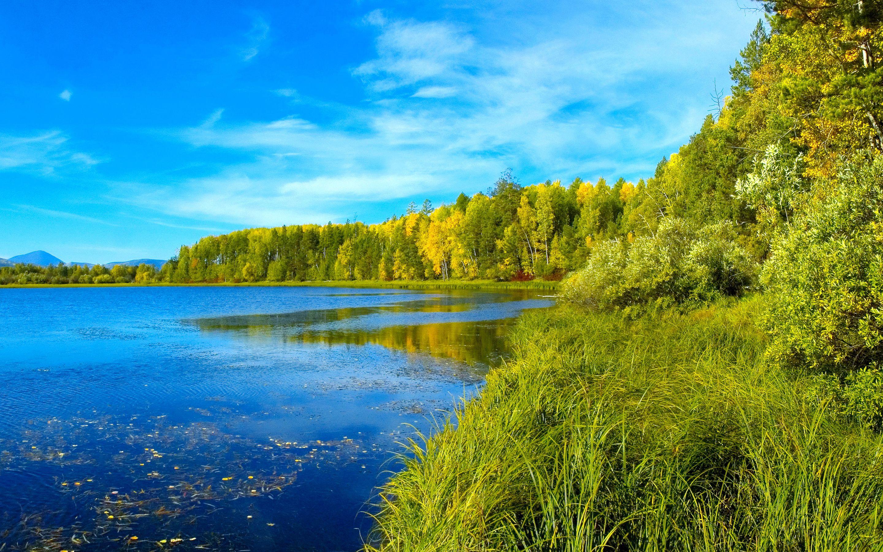 2880x1800 Nature Landscape Summer Lake Forest Grass Wallpaper