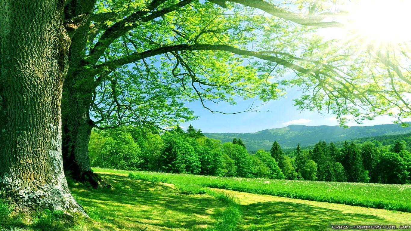 1366x768 Resolution Wallpaper