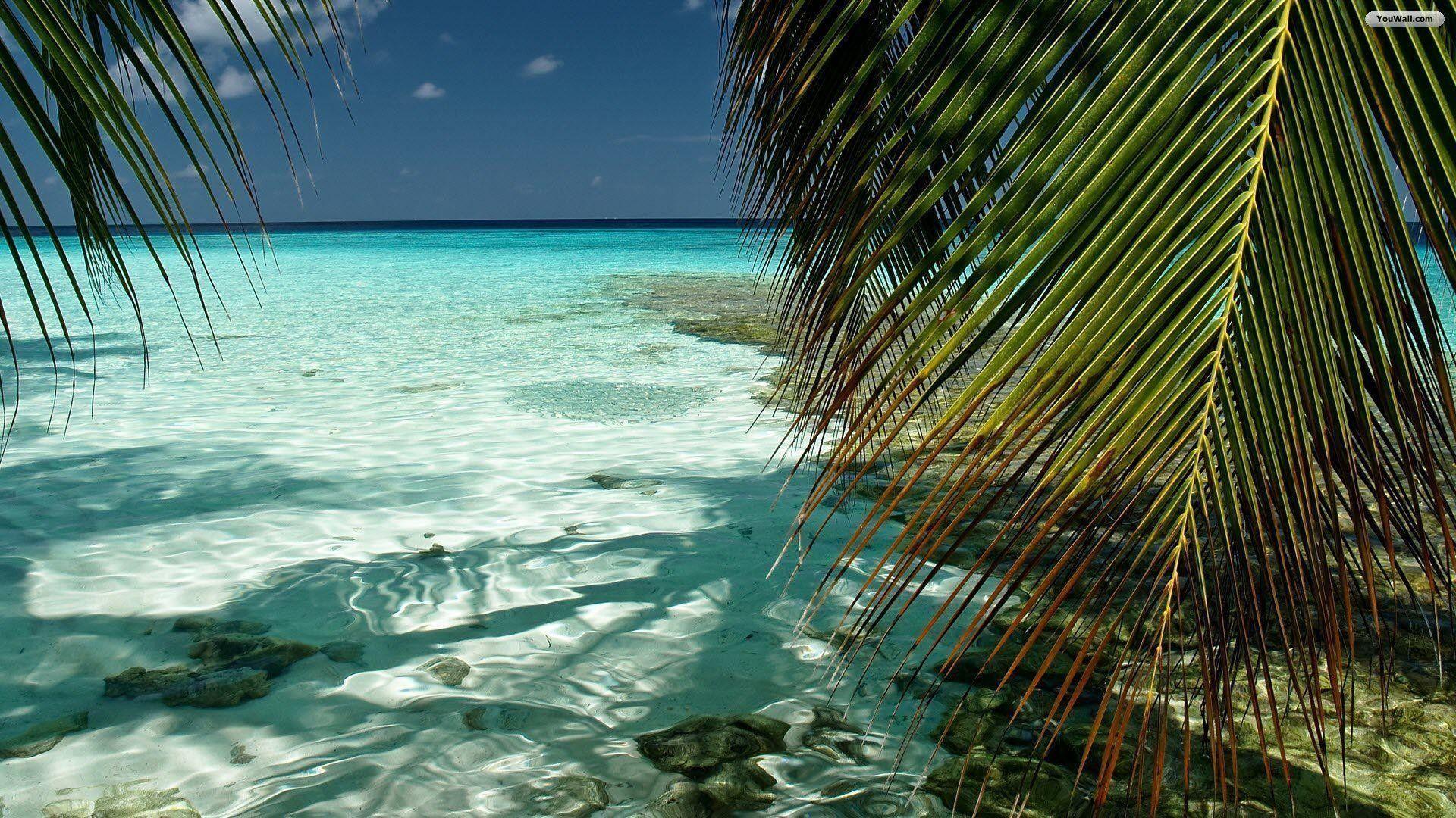 1920x1080 Tropical Desktop Wallpaper