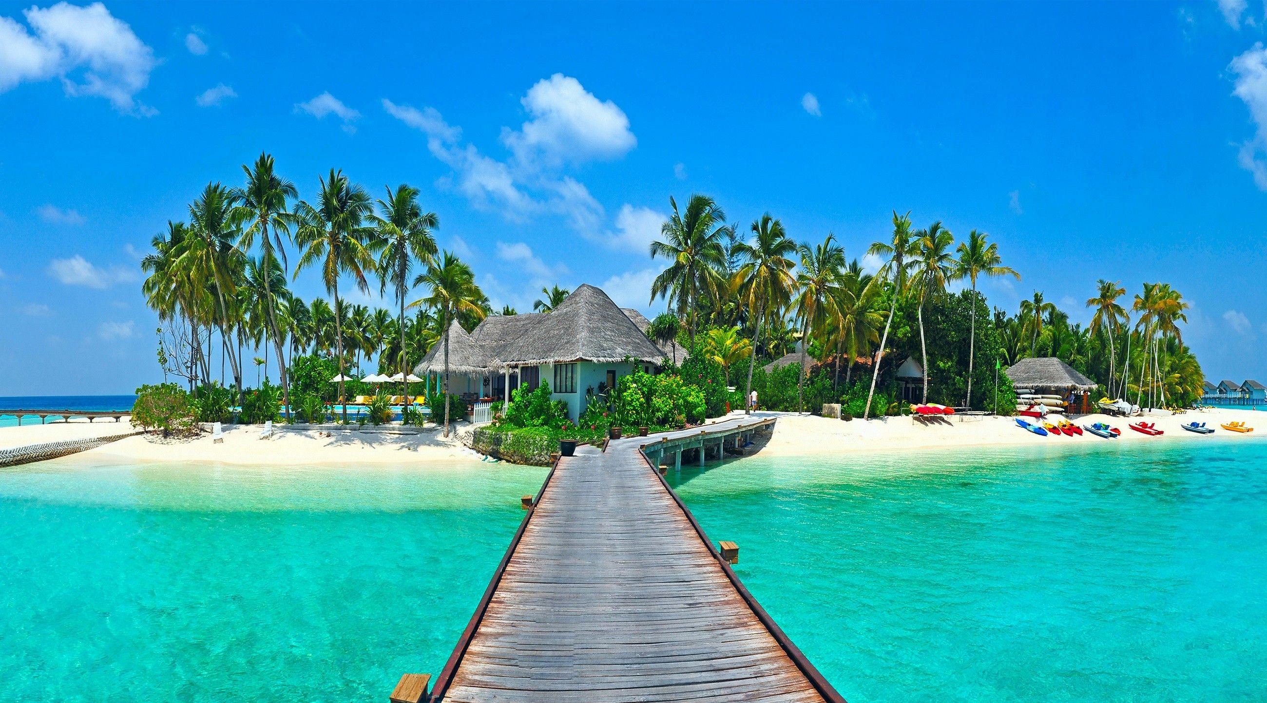 2600x1443 Tropical wallpaper for computer