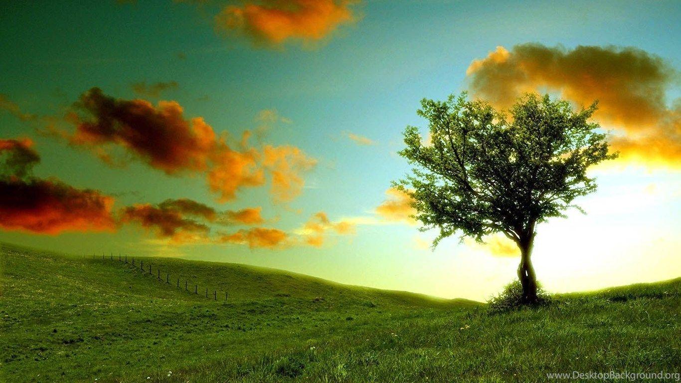 1366x768 summer nature desktop Desktop Background