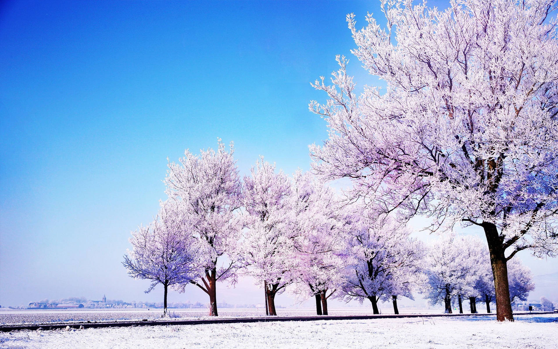 1920x1200 Spring Season In South Korea Wallpaper