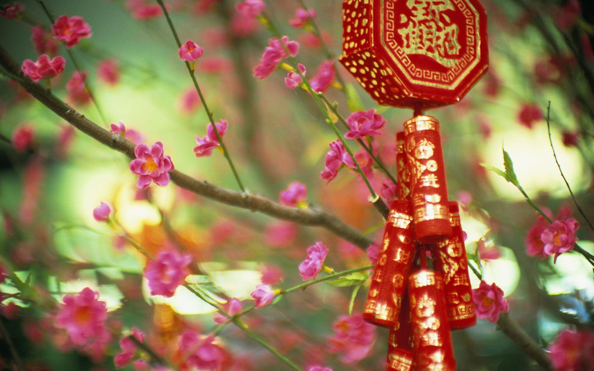 1920x1200 Live China Wallpaper, LBI82 China Background