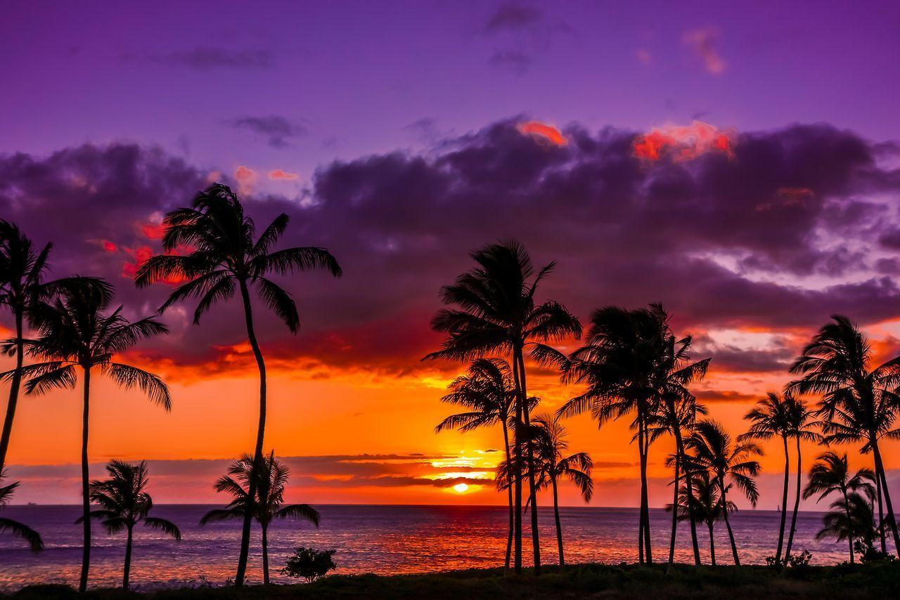 1280x854 Sunrise Purple Hawaii Sunset Wallpaper at