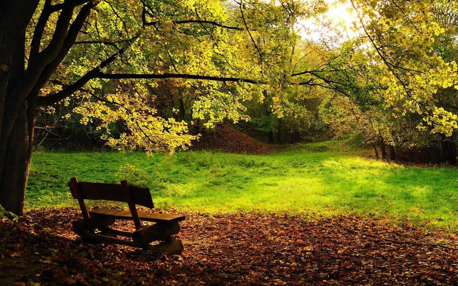 1600x1000 Peaceful Desktop Background