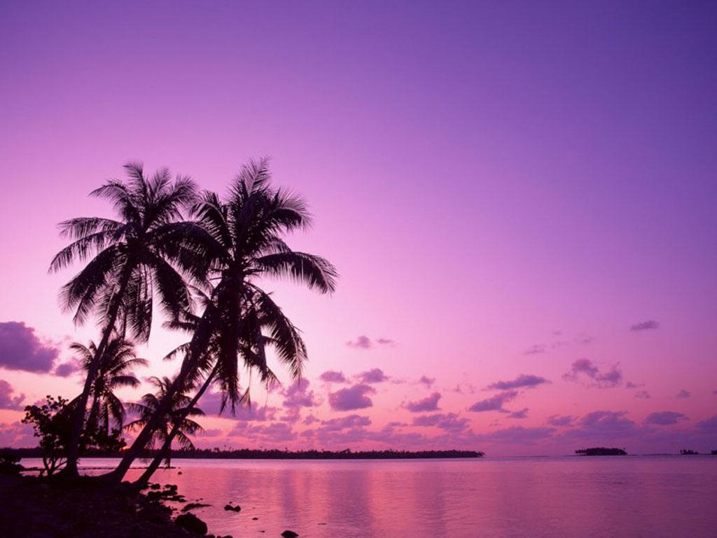 1024x768 Purple Sunset Background wallpaperx768