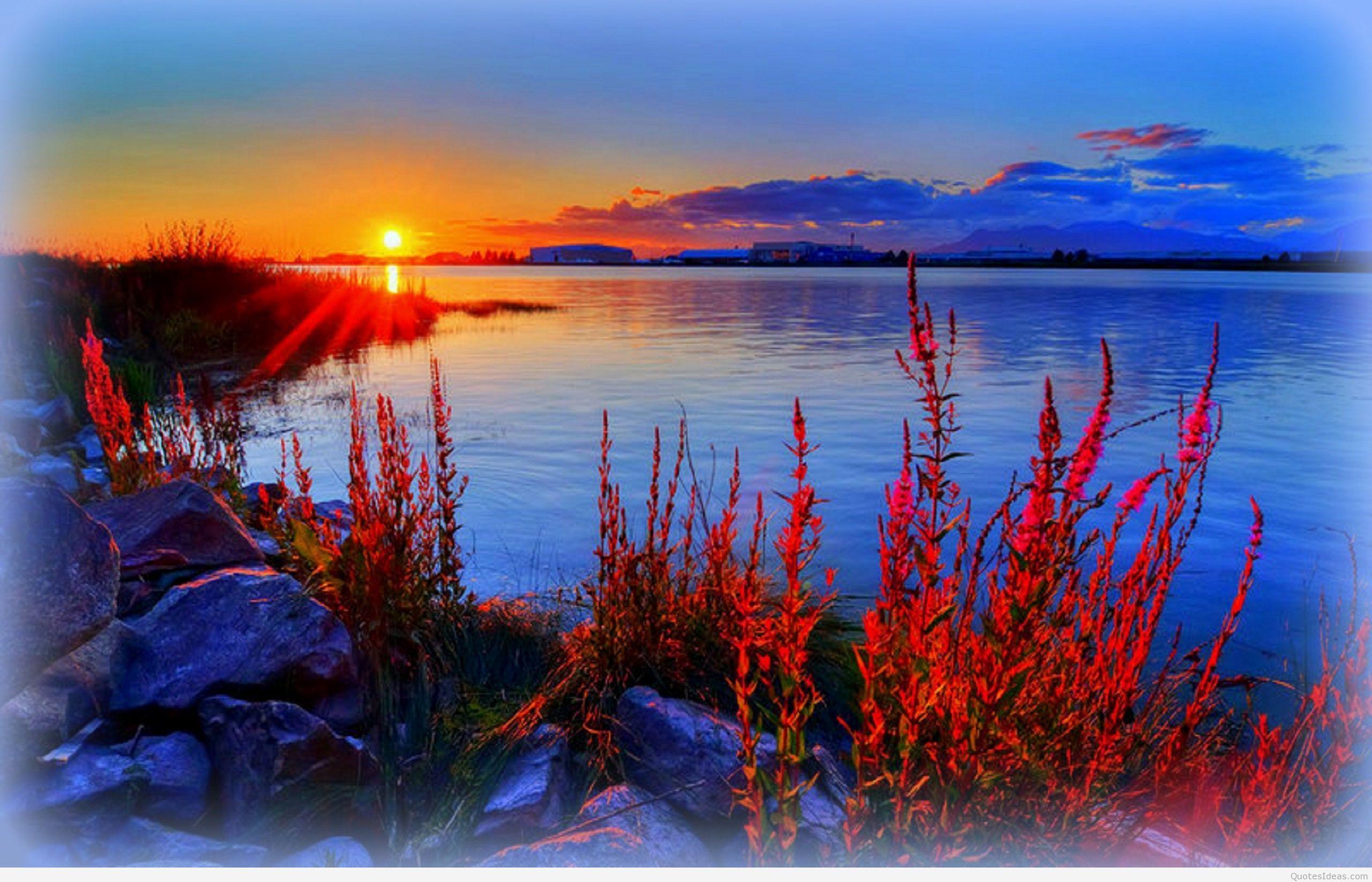 2560x1647 Awesome summer wallpaper HD with sunset
