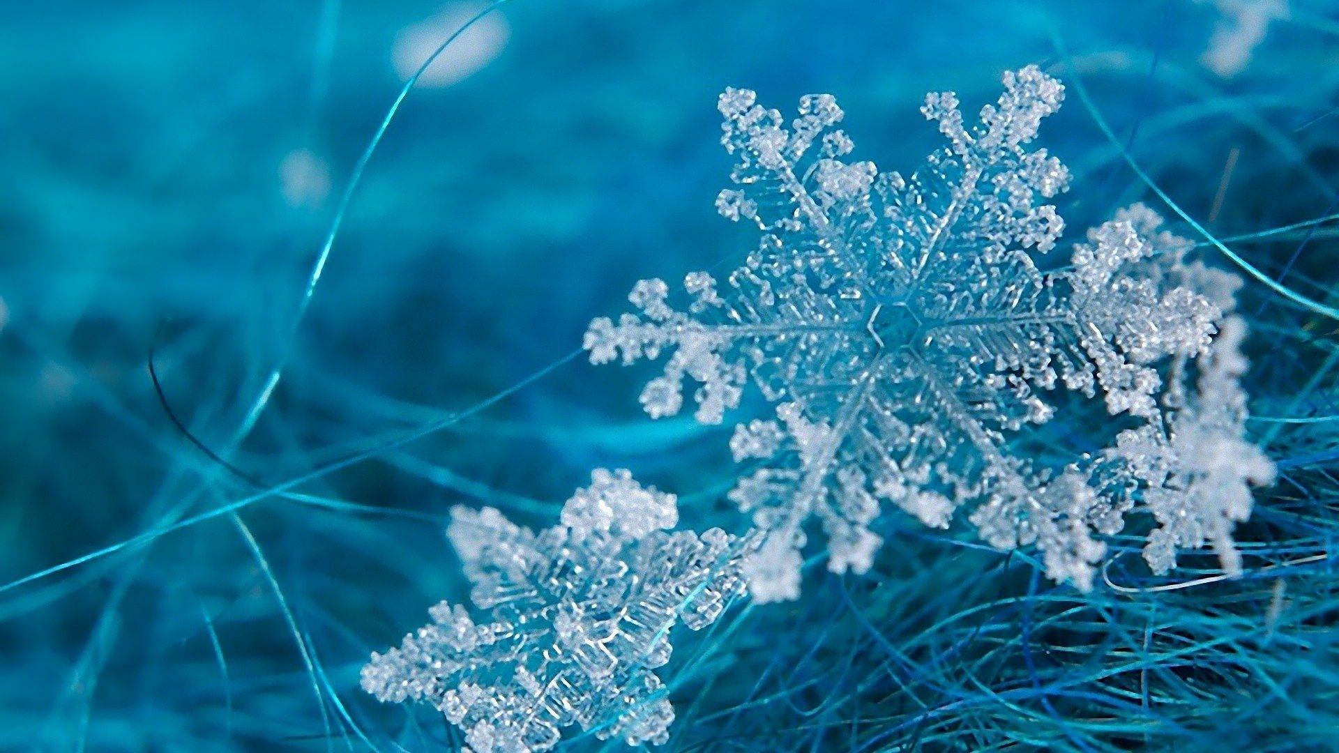 Snowflake Desktop Wallpapers - Top Free