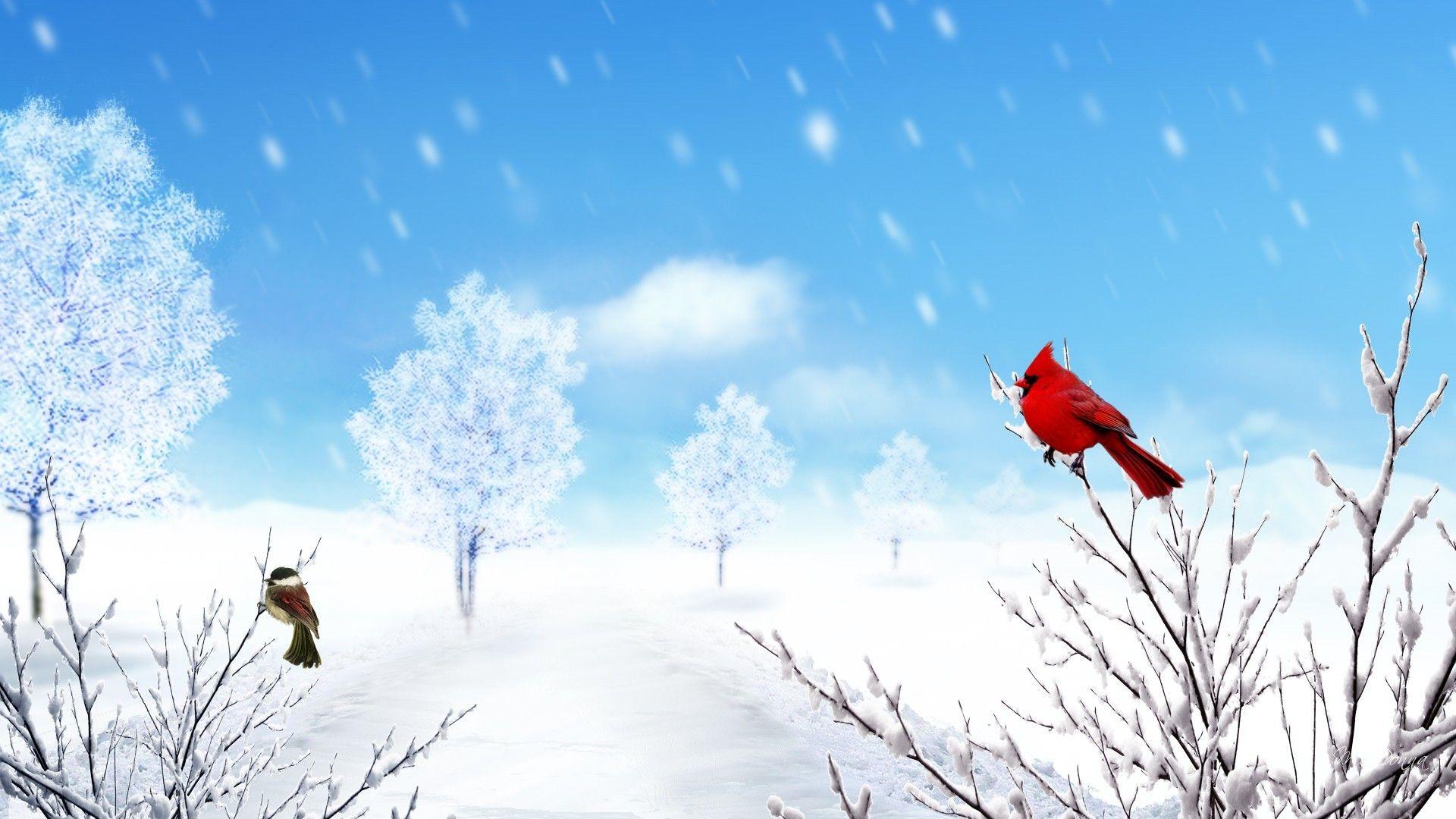 Winter Cardinal Desktop Wallpapers - Top Free Winter Cardinal Desktop