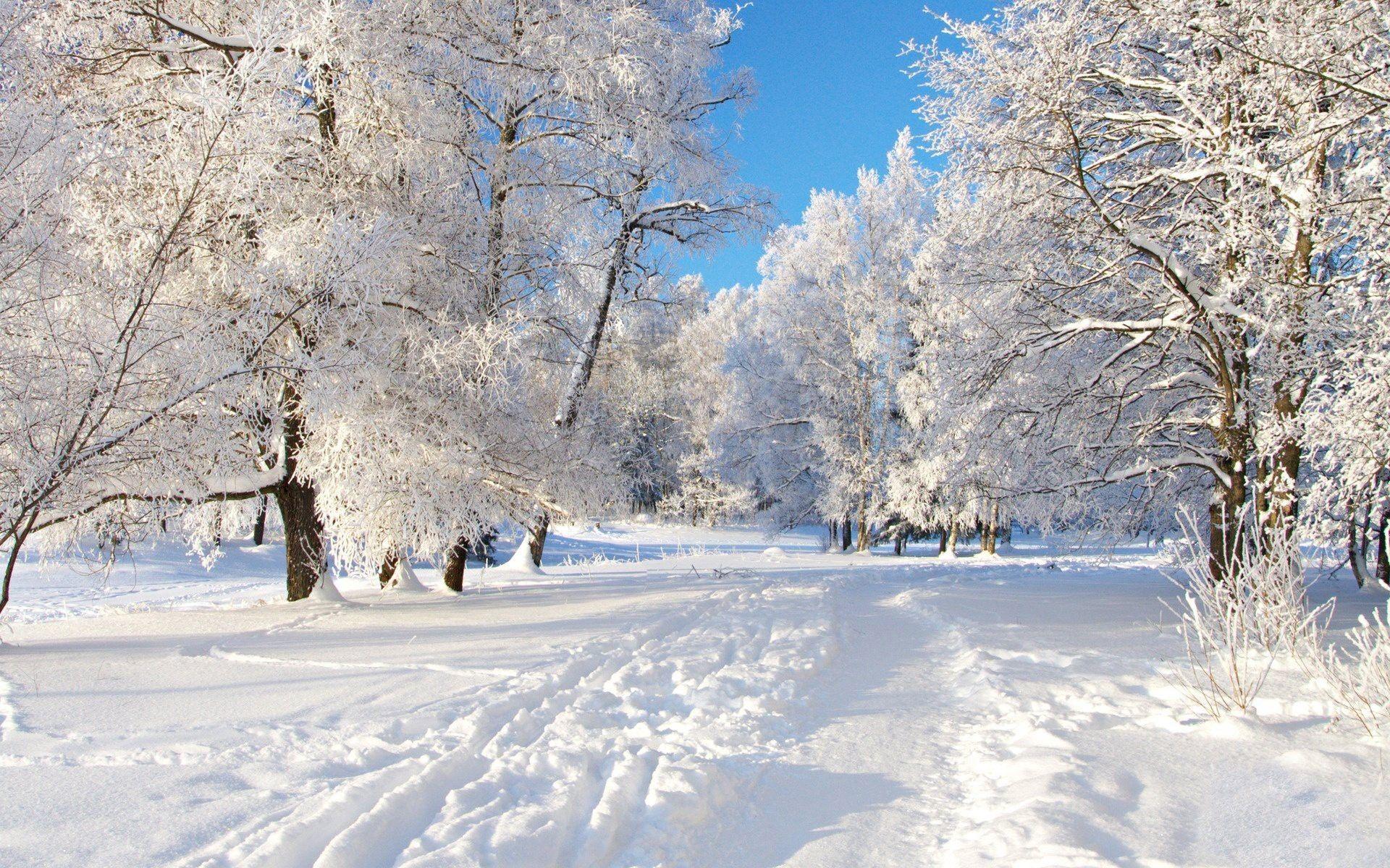 winter wonderland desktop background