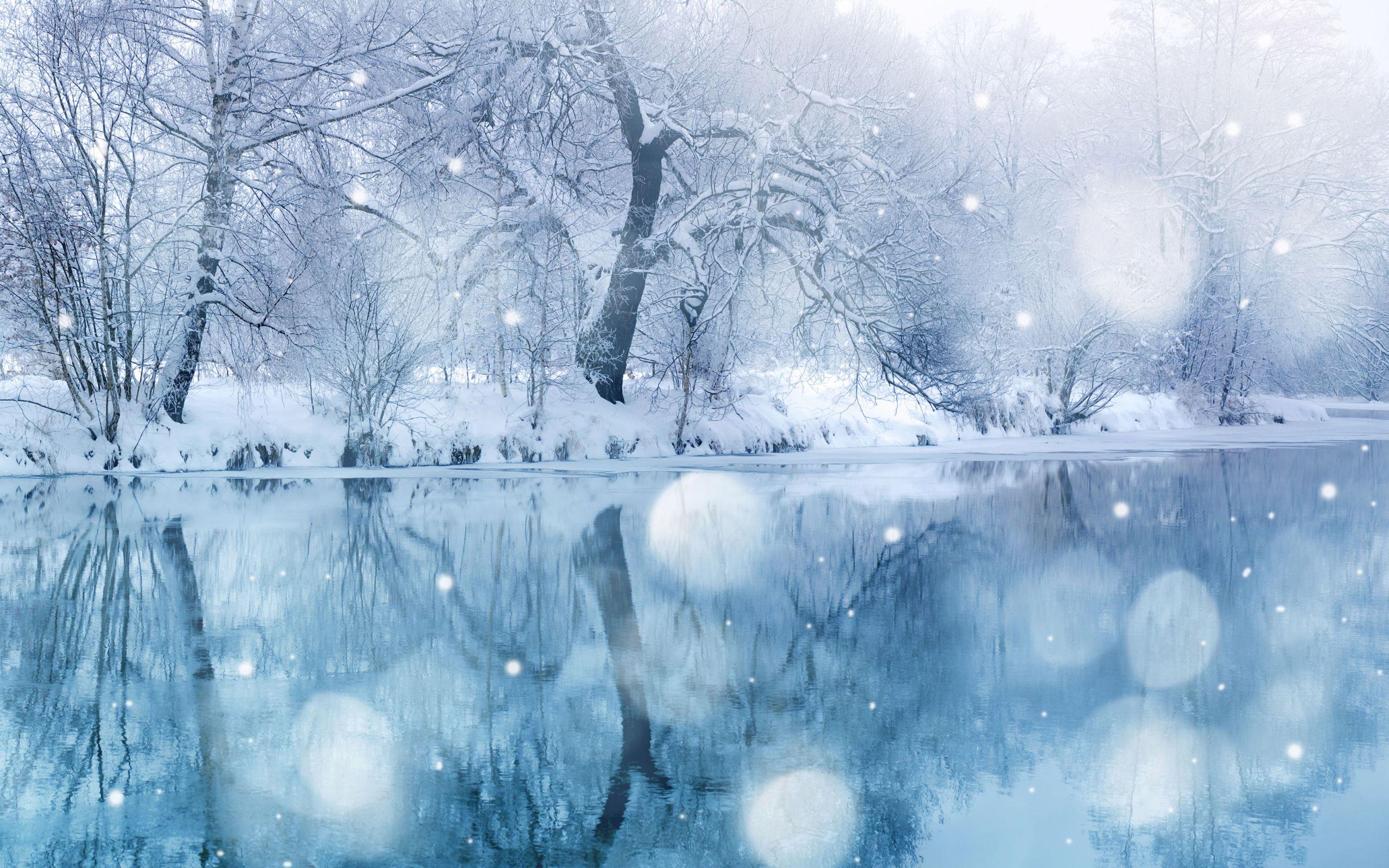 2560x1600 Hình nền máy tính Winter wonderland