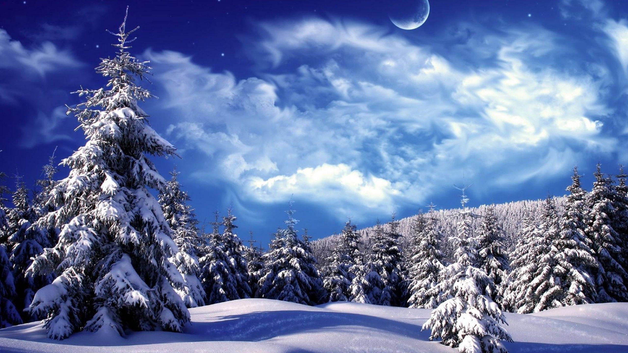 2560x1440 Nền Winter WonderlandTải xuống miễn phí Cảnh quan tuyệt đẹp