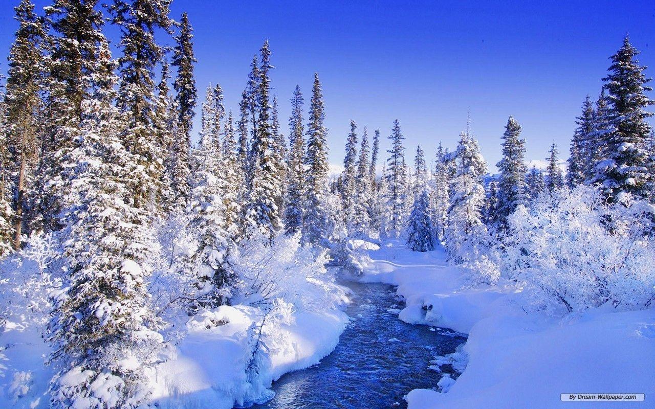 1280x800 Nền Winter Wonderland mới nhất cho máy tính để bàn FULL HD