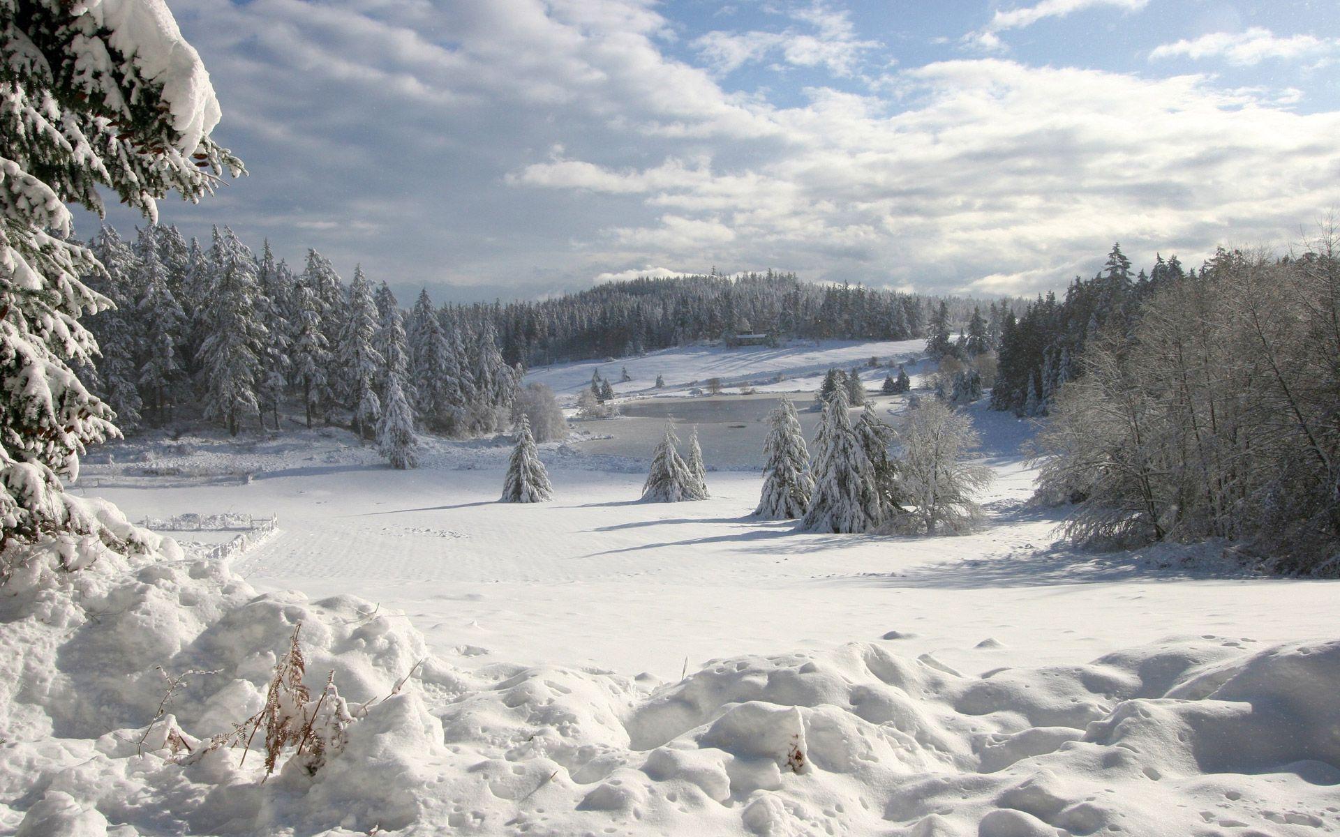 1920x1200 Nền màn hình Winter Wonderland