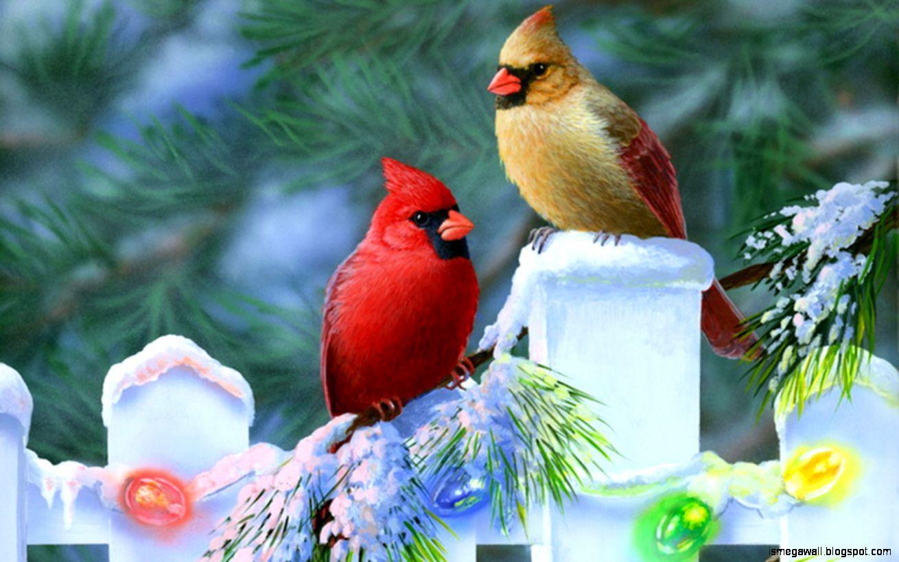 1310x819 Winter Birds HD Wallpaper