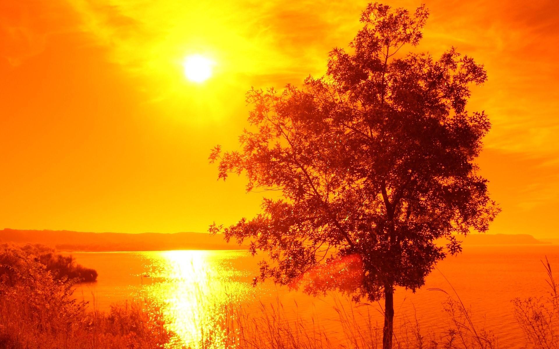 1920x1200 Summer Sunset Desktop Wallpaper, Summer Sunset Image. Cool