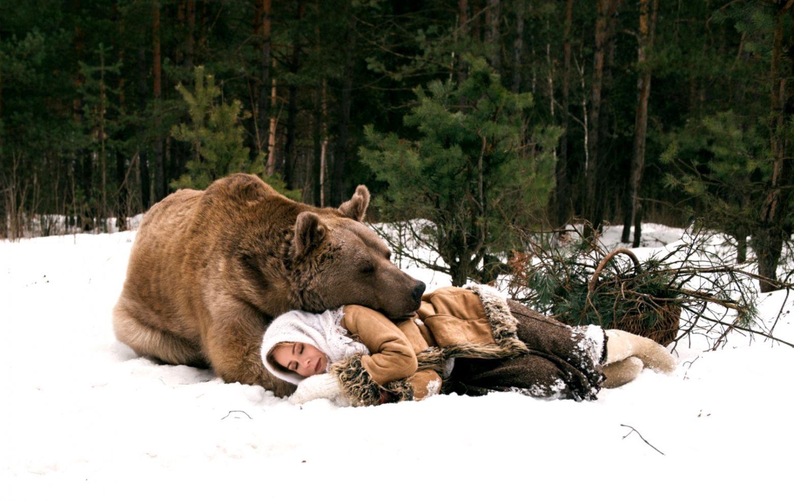 1562x987 Winter Animal Wallpaper