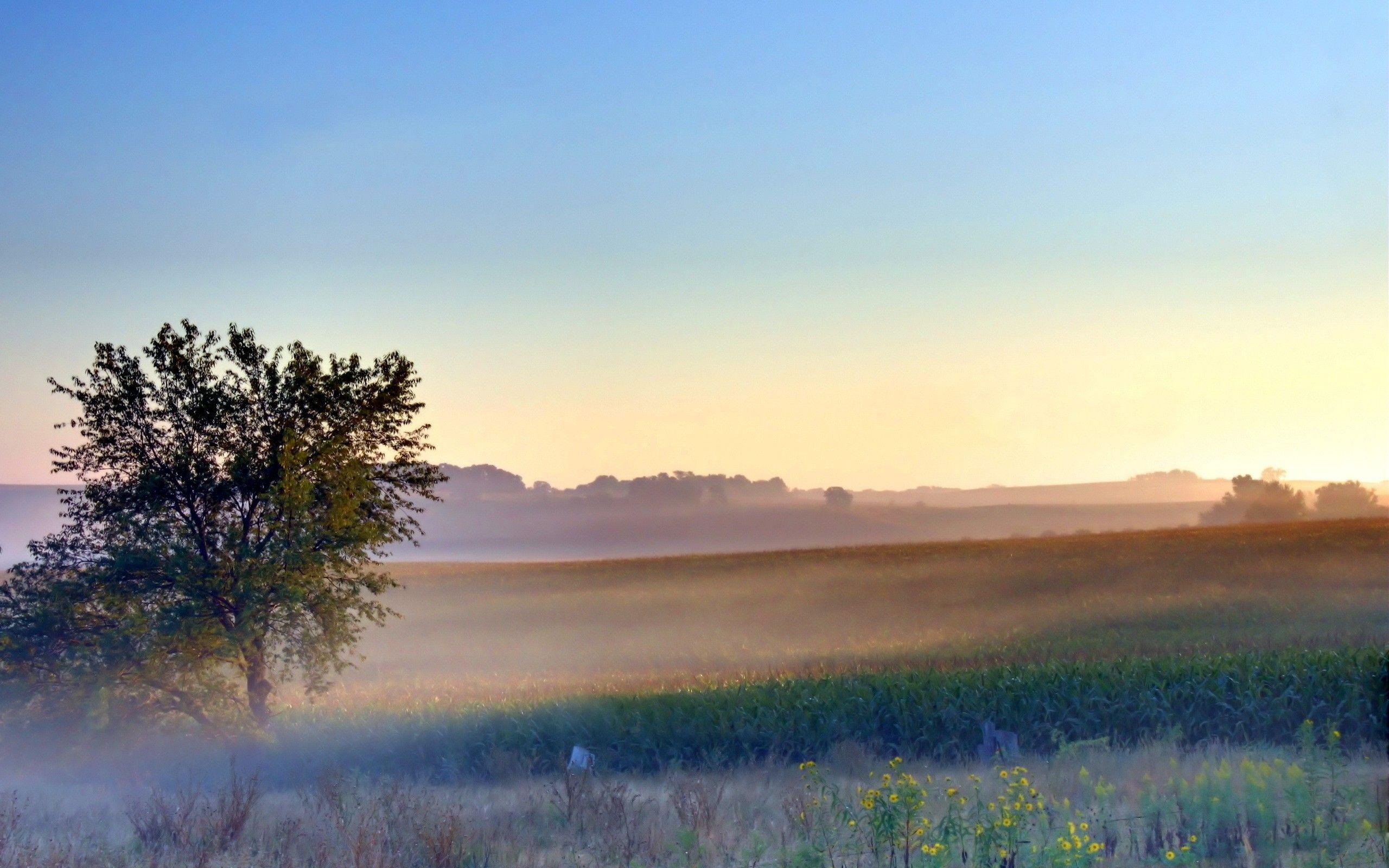 2560x1600 Beautiful Late Summer Morning desktop PC and Mac