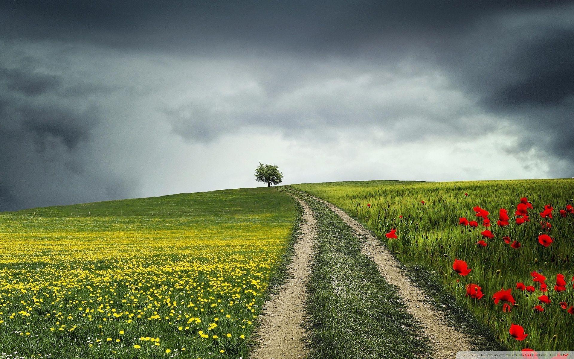 Late Summer Wallpapers - Top Free Late Summer Backgrounds - WallpaperAccess