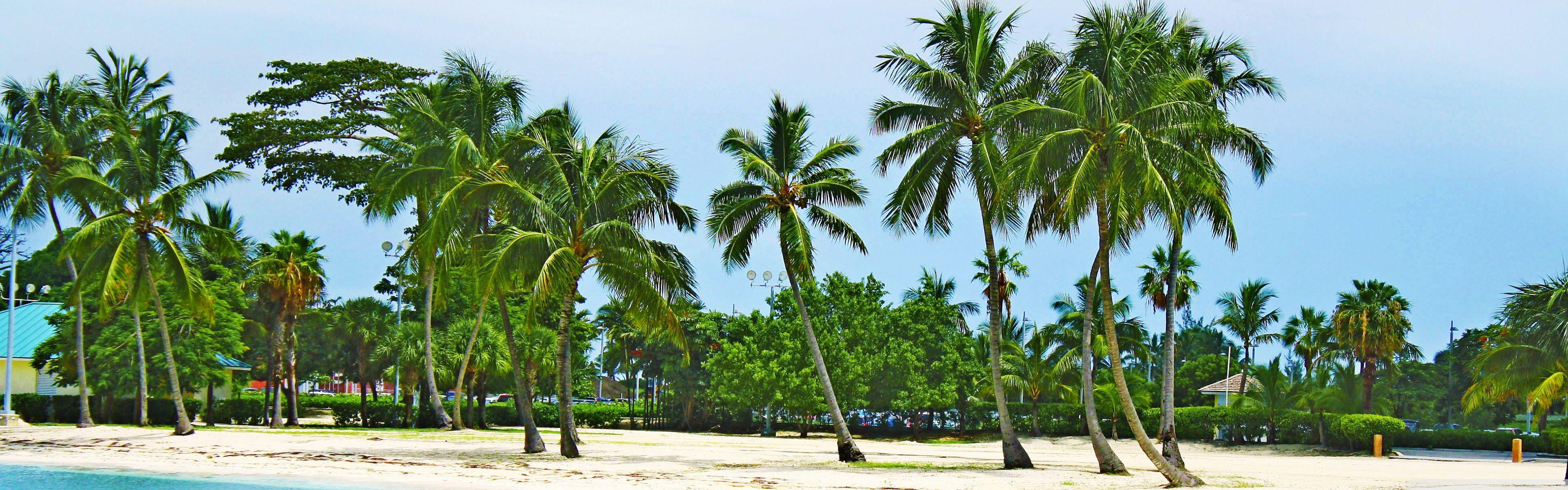 3840x1200 Bahamas Beach ❤ 4K HD Desktop Wallpaper for 4K Ultra HD TV