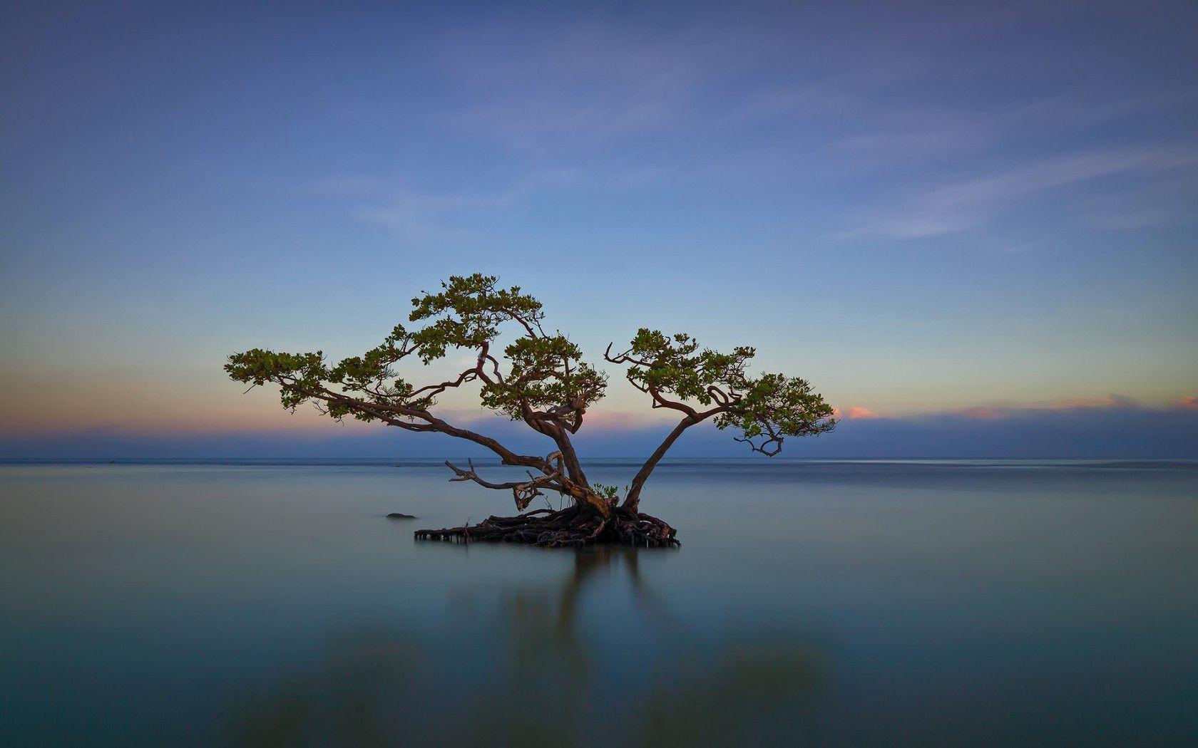 1680x1050 1680x1050 nature landscape trees water island