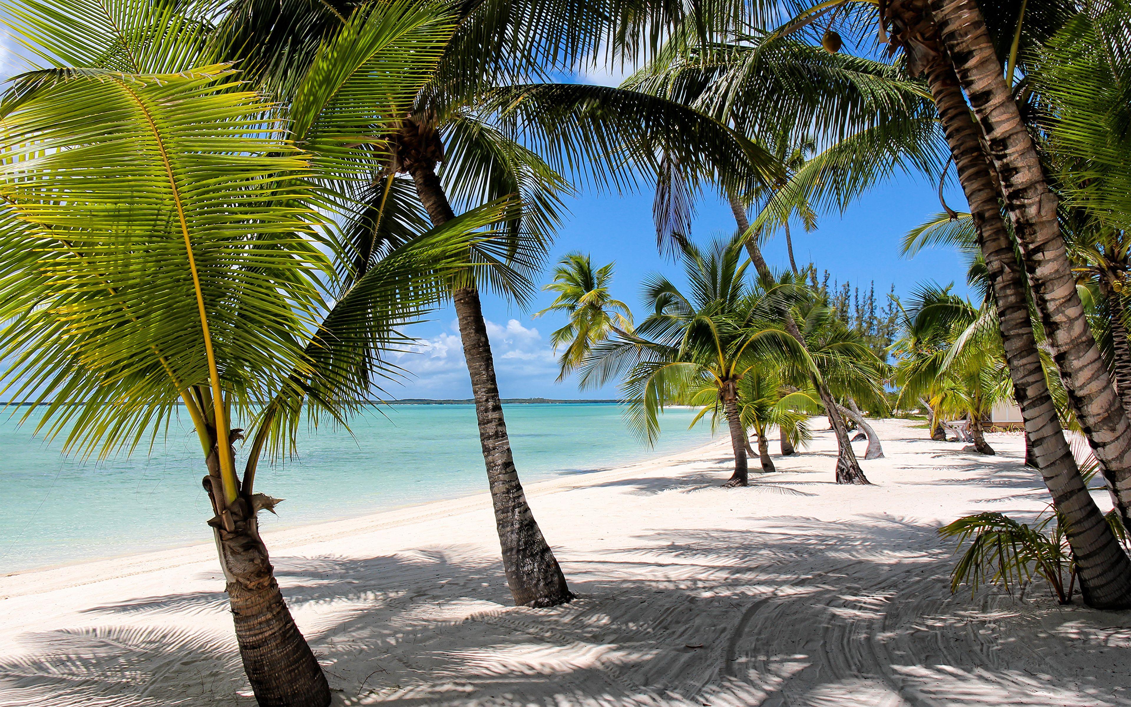 Bahamas Beach Desktop Wallpapers - Top Free Bahamas Beach Desktop ...