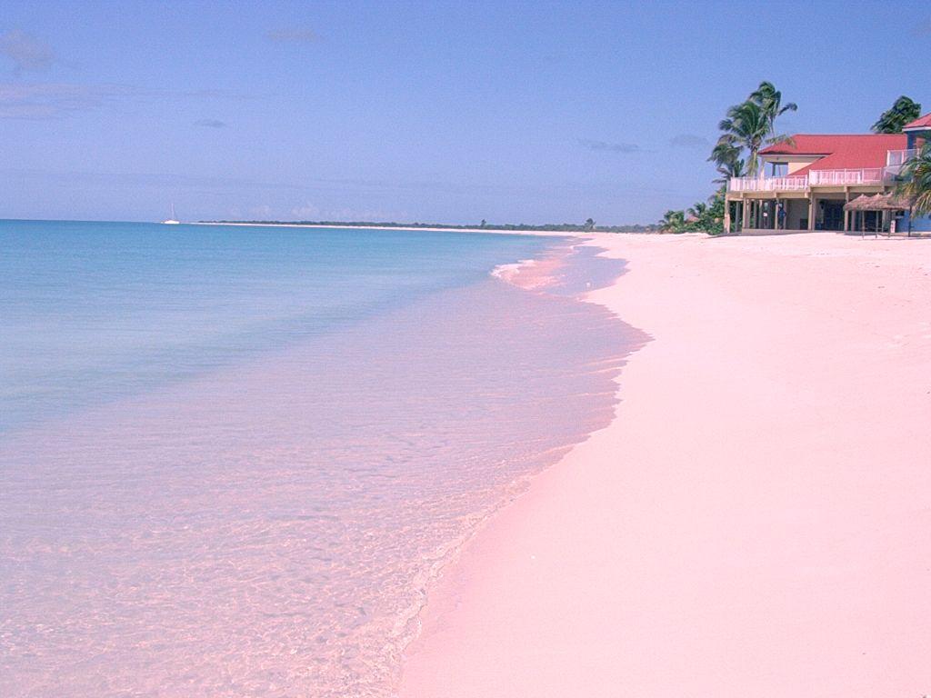 1024x768 Bahamas Pink Sand Beaches HD Wallpaper Sand Fiji