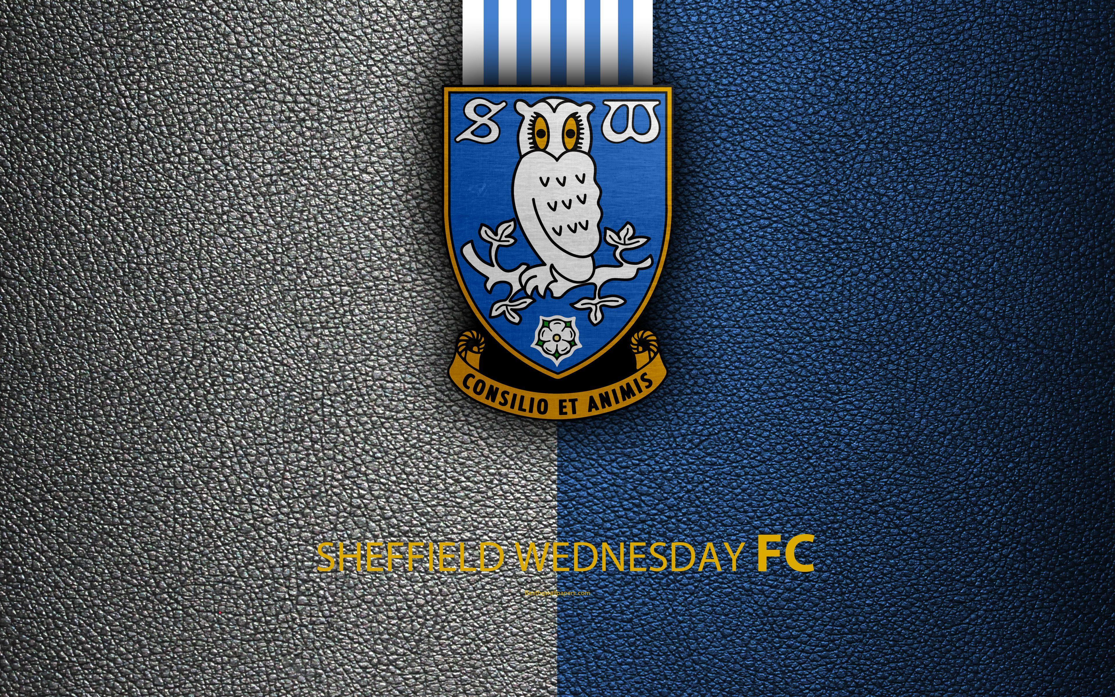 3840x2400 Download wallpaper Sheffield Wednesday FC, 4K, English