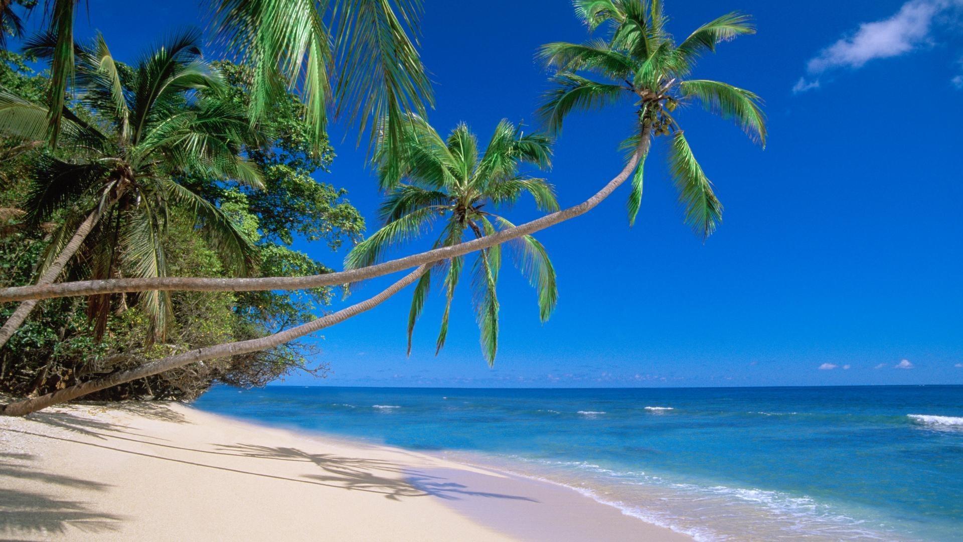 1920x1080 Fiji Beach Desktop Wallpaper