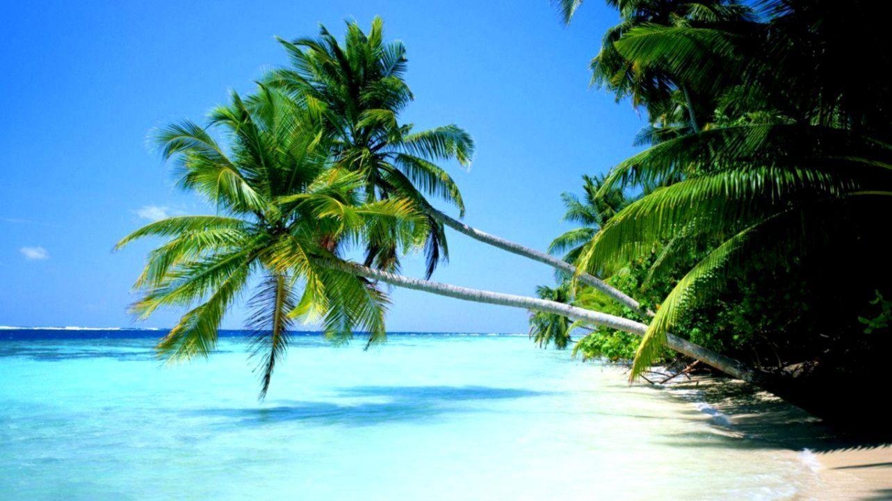 1283x721 Desktop Background Beach Tropical. Wallpaper Lock Screen