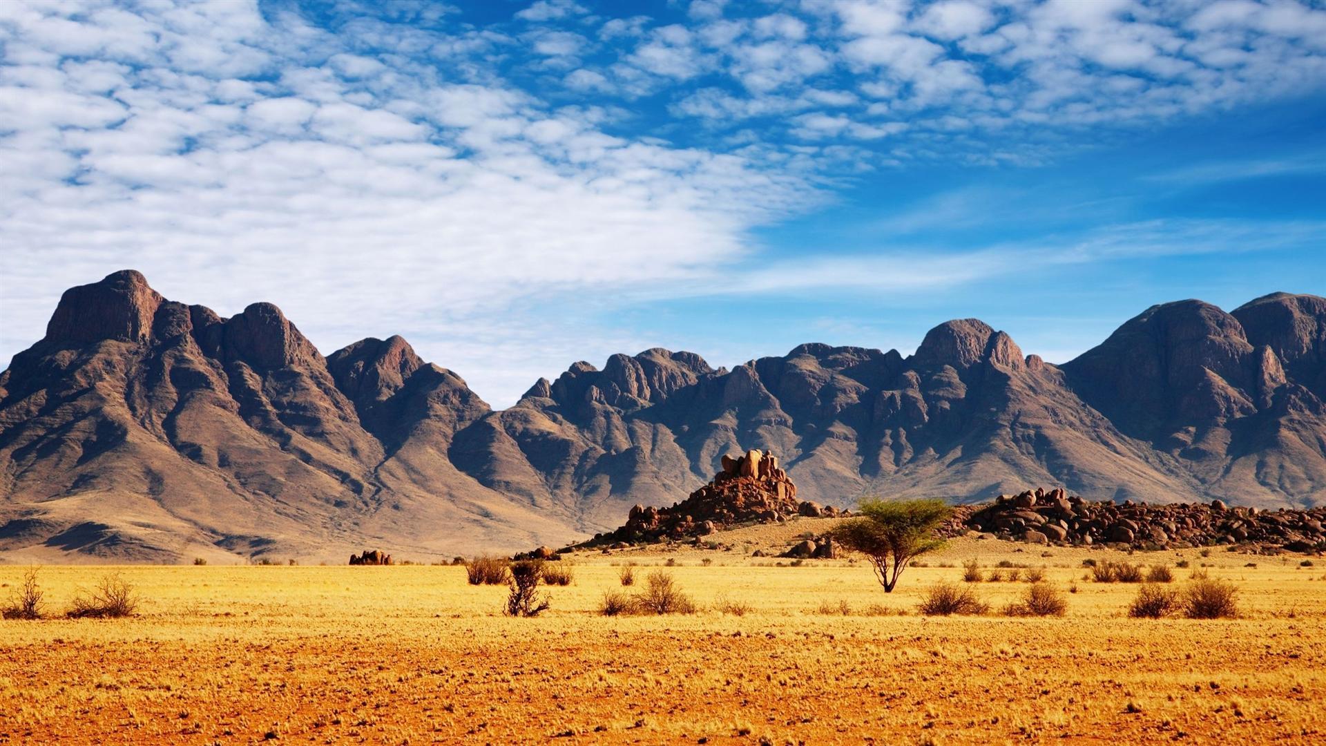 1920x1080 Safari Wallpaper